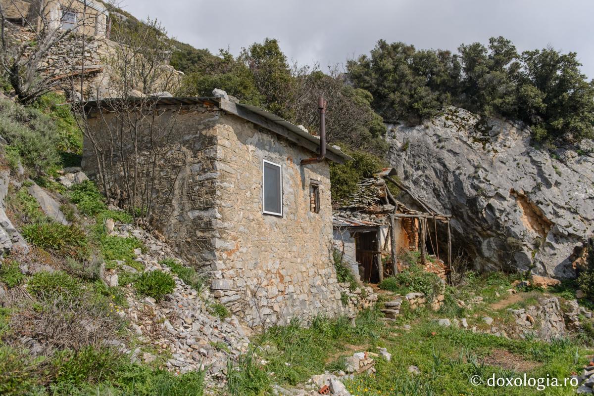 Bătrânul Zosima Pustnicul