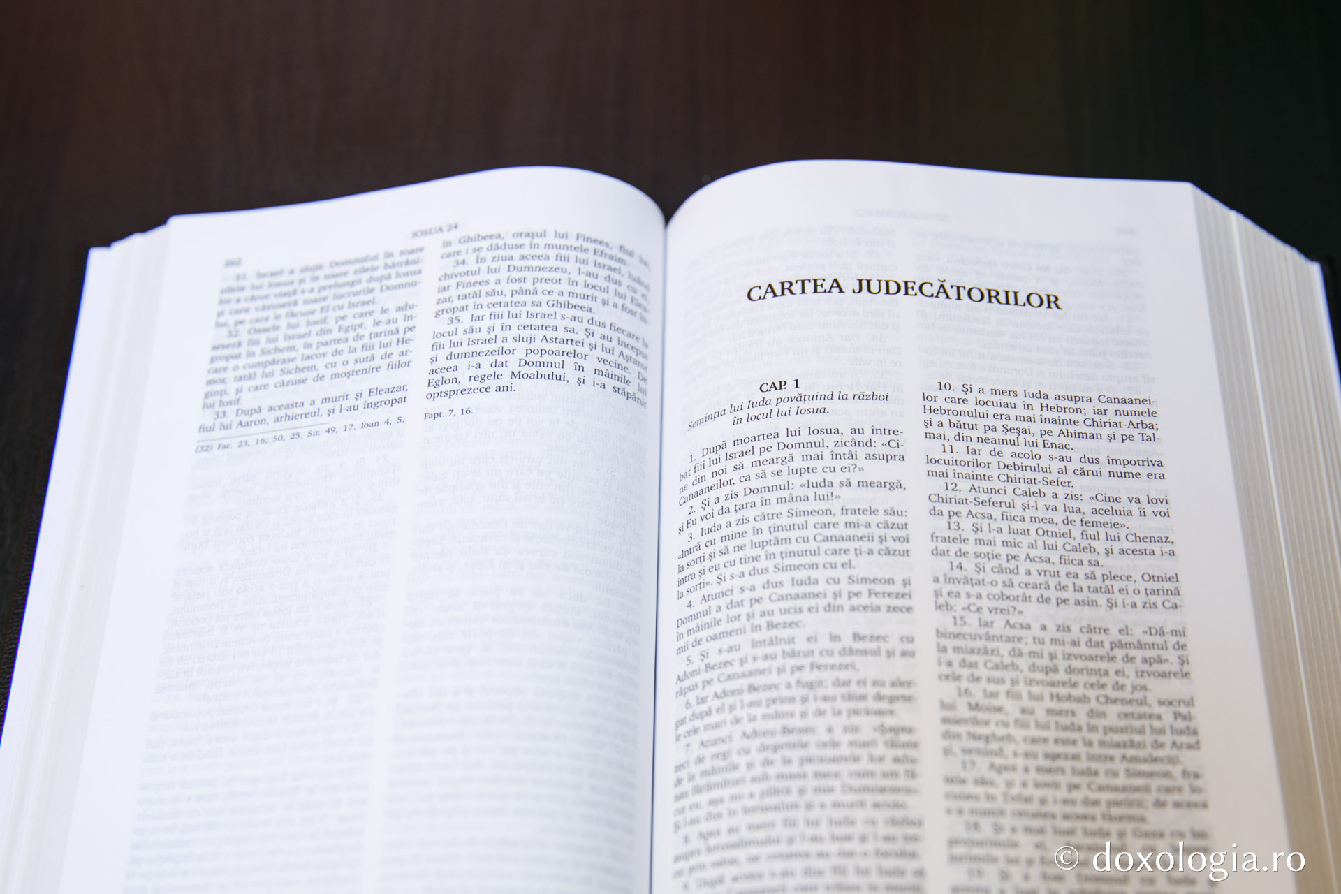 Cartea Judecătorilor – Capitolul 17