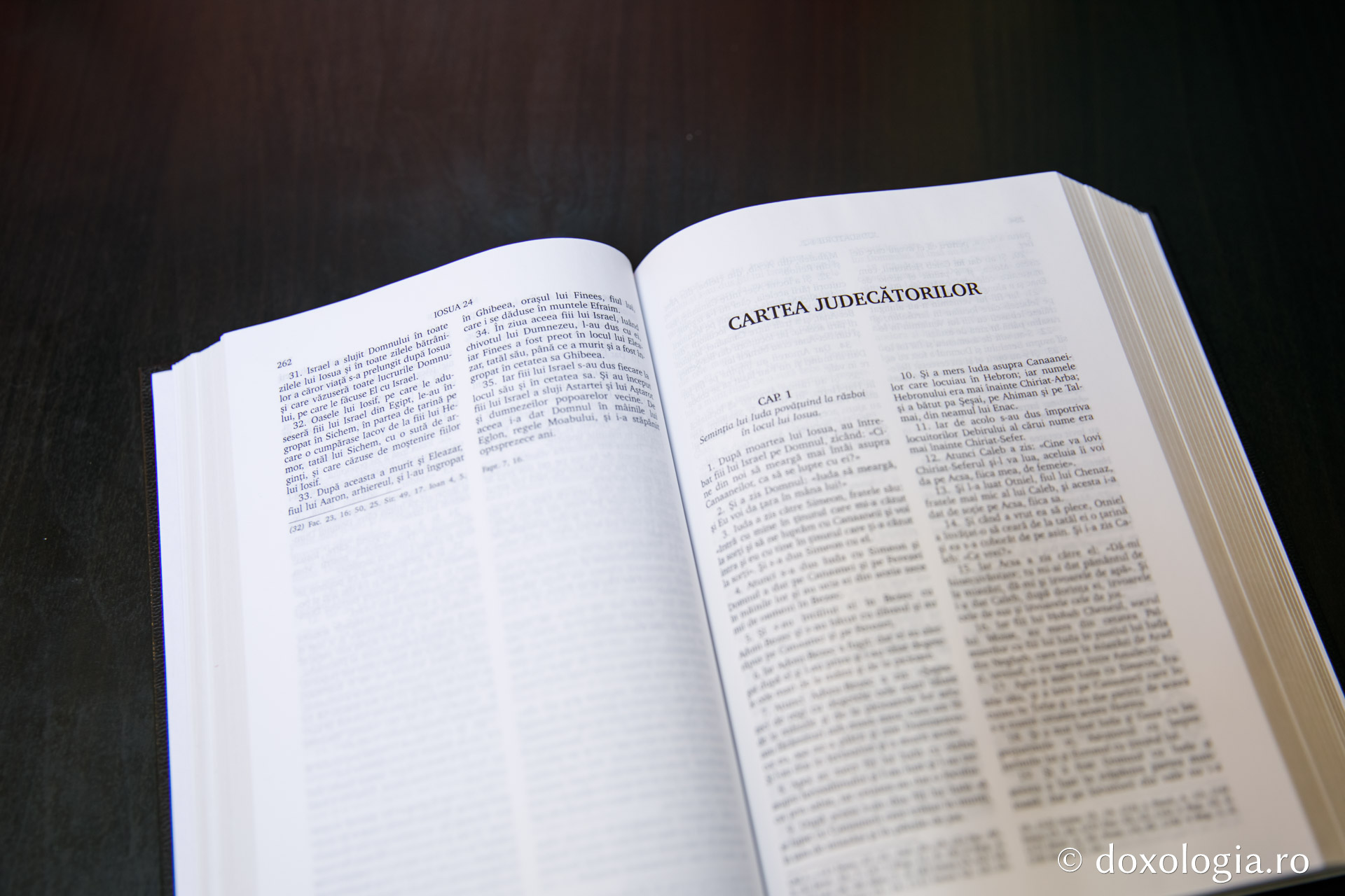 Cartea Judecătorilor – Capitolul 11