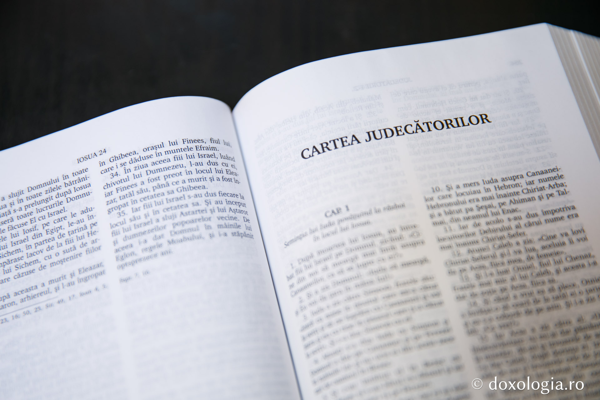 Cartea Judecătorilor – Capitolul 12