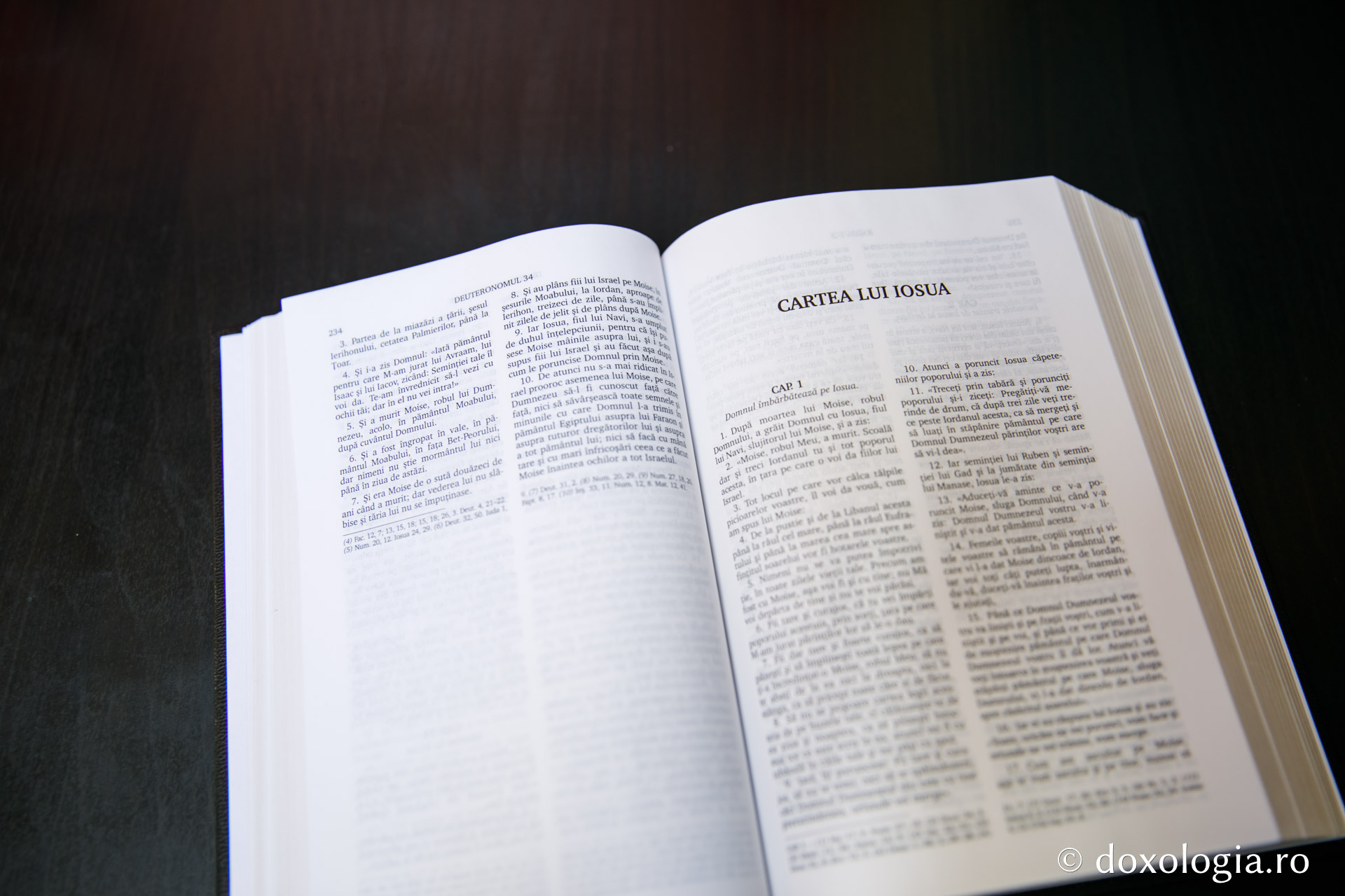 Cartea lui Iosua Navi – Capitolul 2