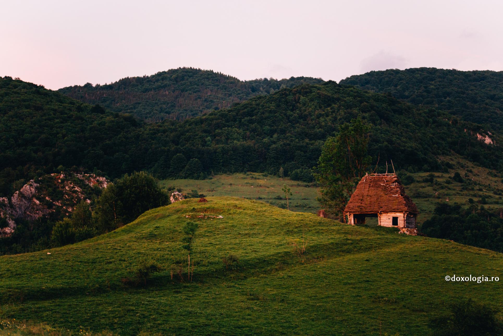 Care să fie legătura dintre dragostea de natură și dragostea de oameni?