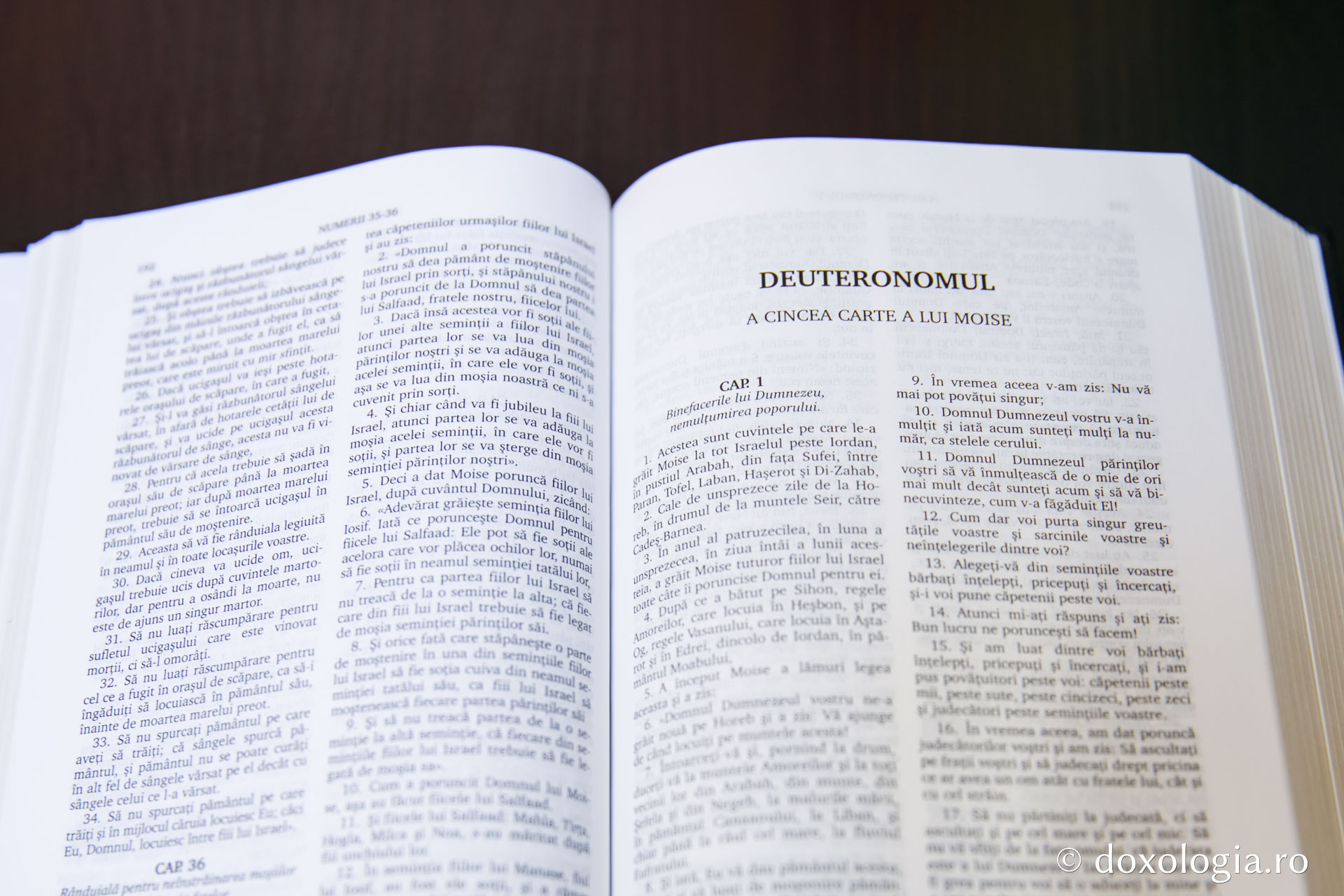 Deuteronomul (A cincea Carte a lui Moise) – Capitolul 19