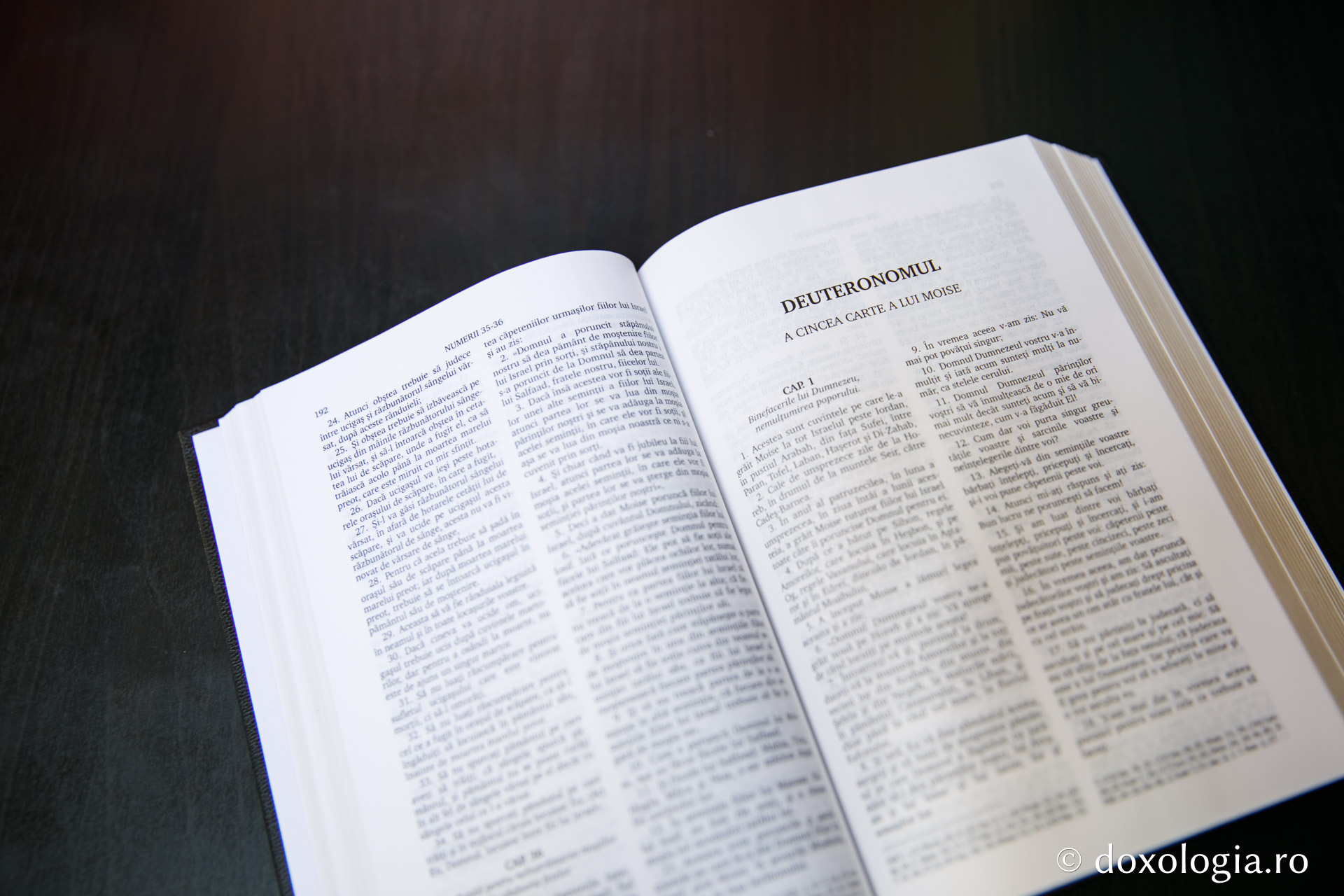 Deuteronomul (A cincea Carte a lui Moise) – Capitolul 17