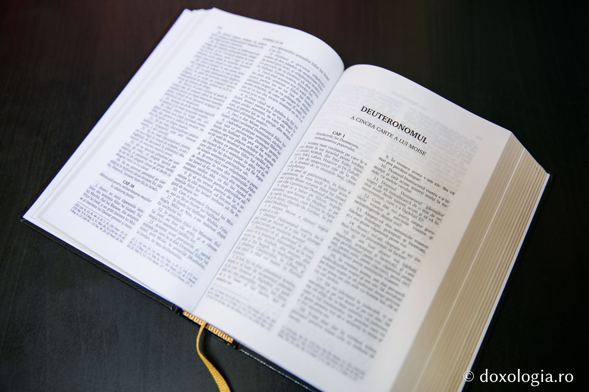 Deuteronomul (A cincea Carte a lui Moise) – Capitolul 15