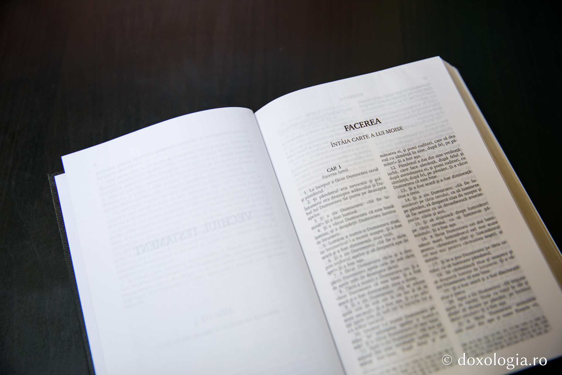 Facerea (Întâia Carte a lui Moise) – Capitolul 36