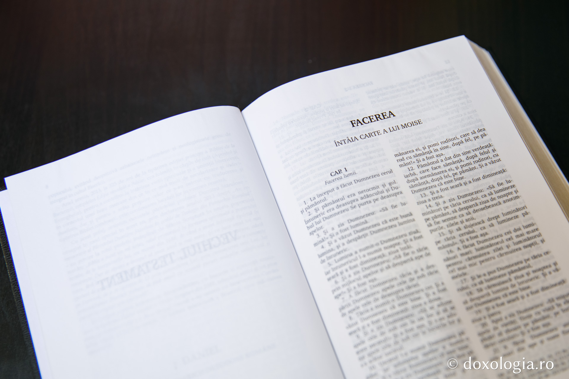 Facerea (Întâia Carte a lui Moise) – Capitolul 40