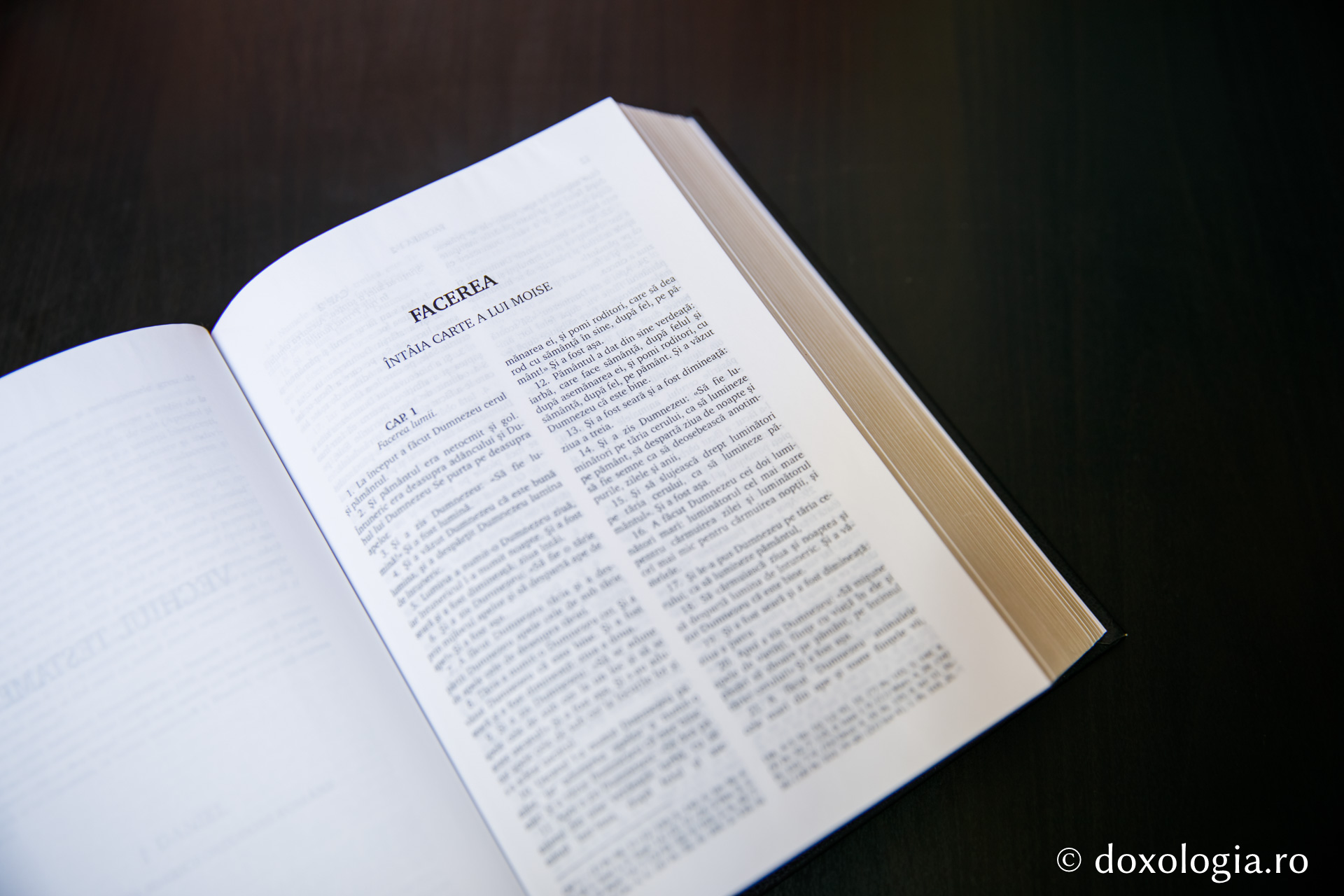 Facerea (Întâia Carte a lui Moise) – Capitolul 47