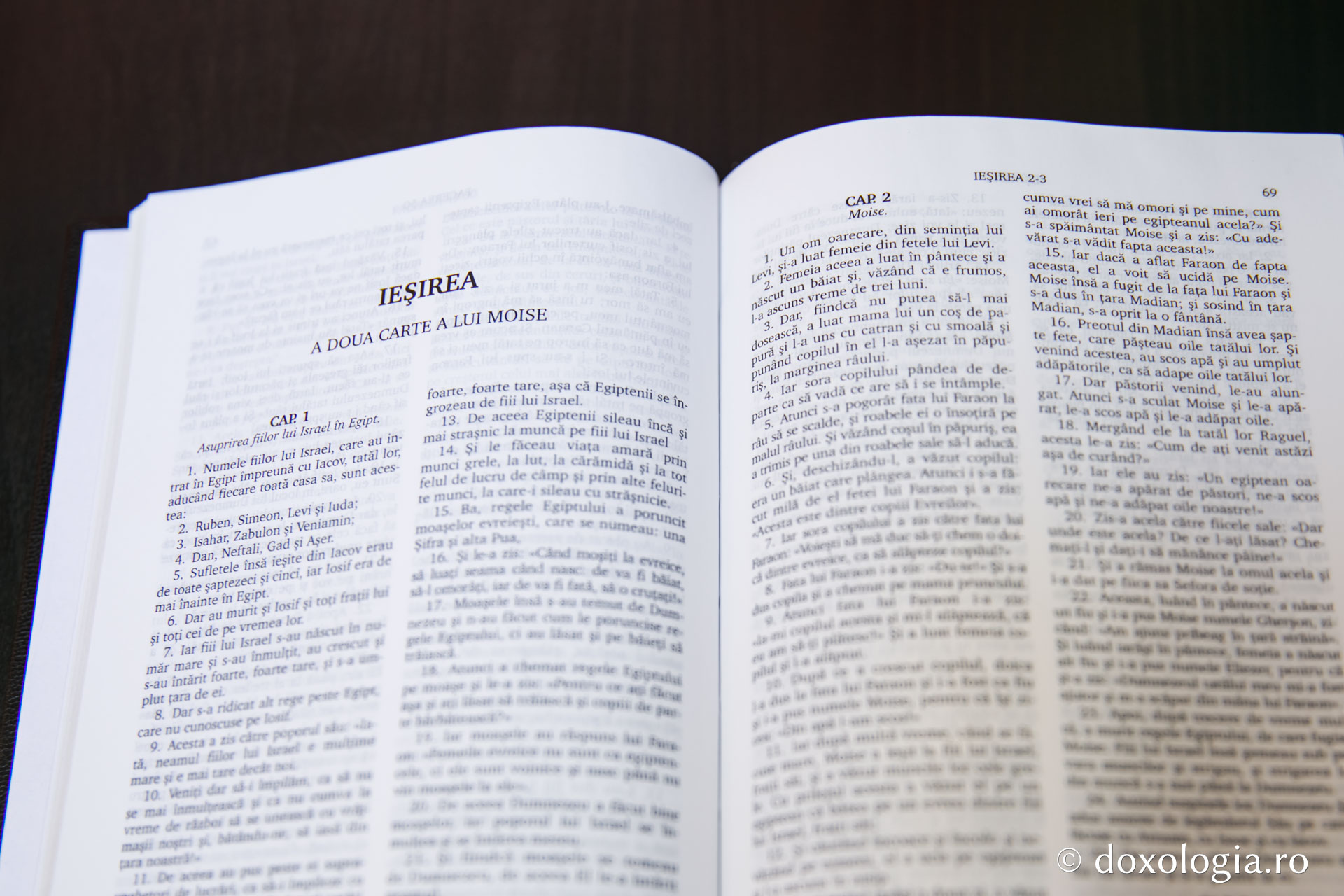 Ieșirea (A doua Carte a lui Moise) – Capitolul 16