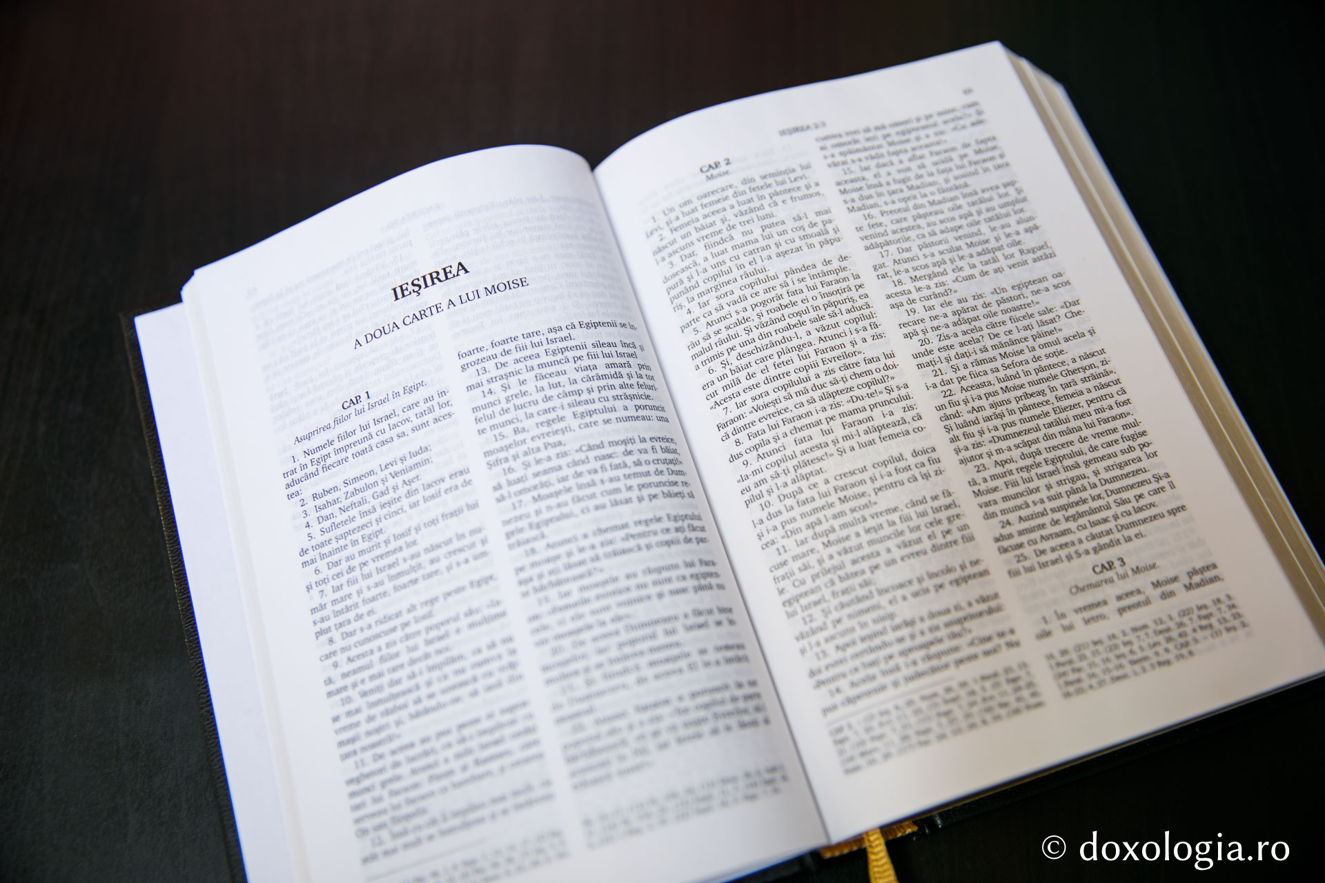 Ieșirea (A doua Carte a lui Moise) – Capitolul 23