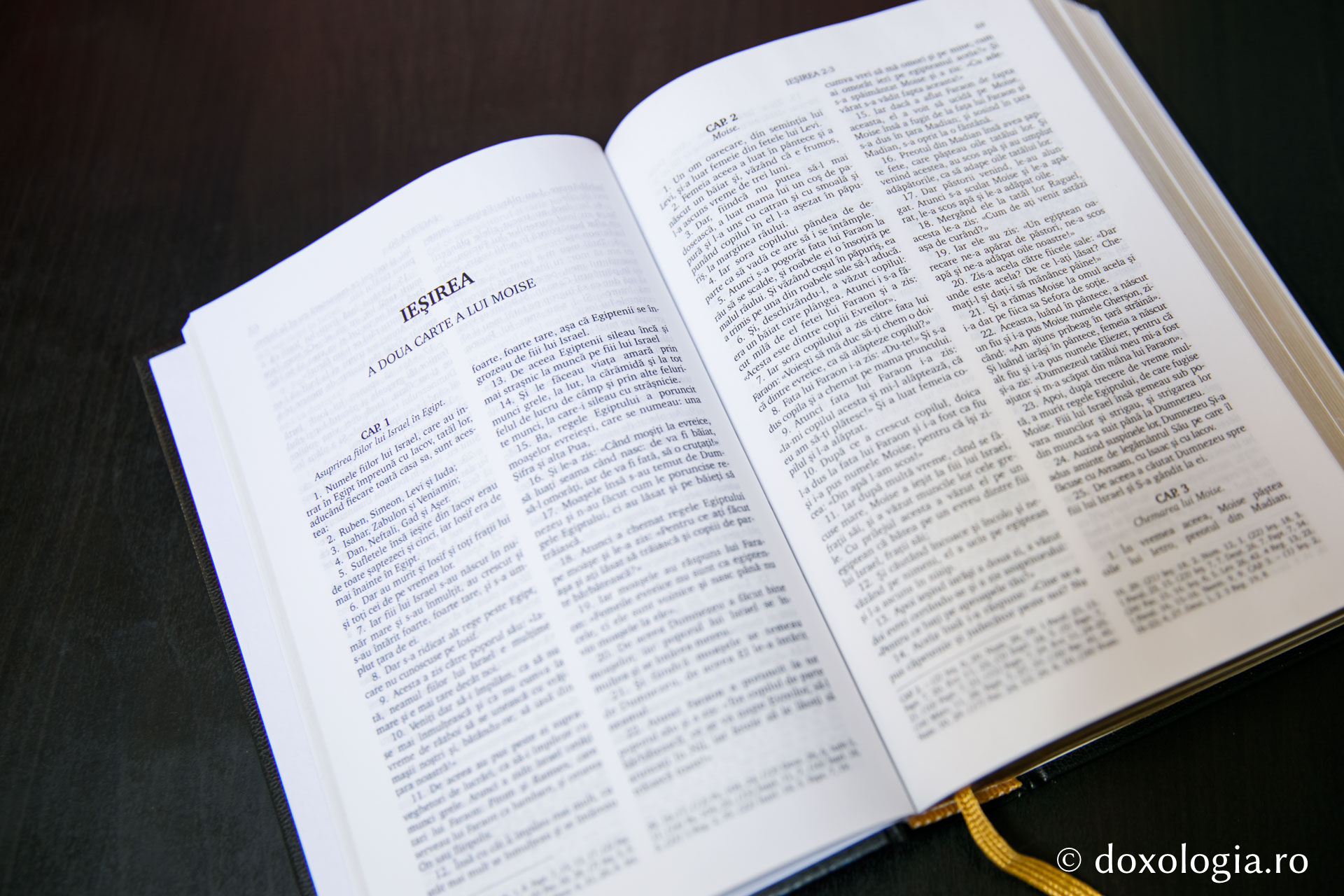 Ieșirea (A doua Carte a lui Moise) – Capitolul 6