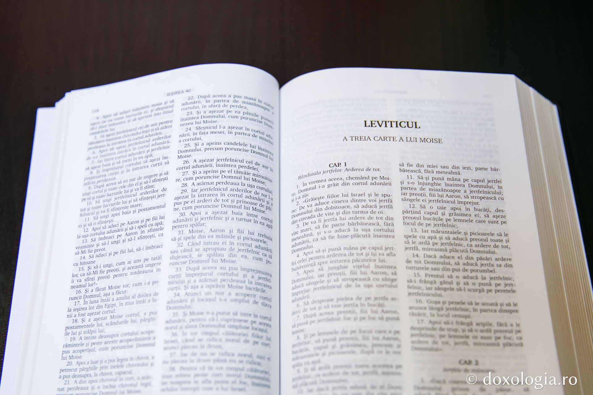 Leviticul (A treia Carte a lui Moise) – Capitolul 7