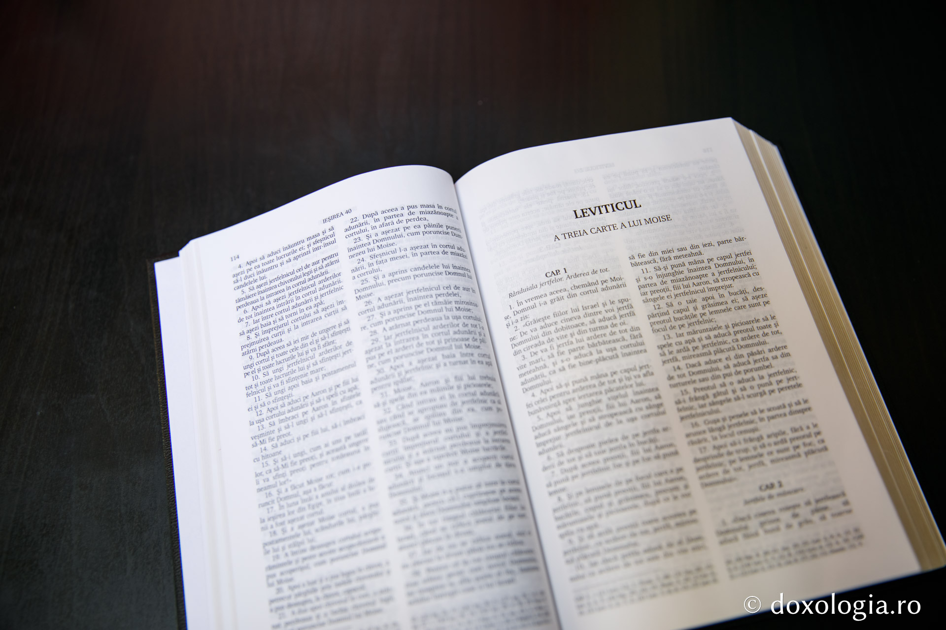 Leviticul (A treia Carte a lui Moise) – Capitolul 11