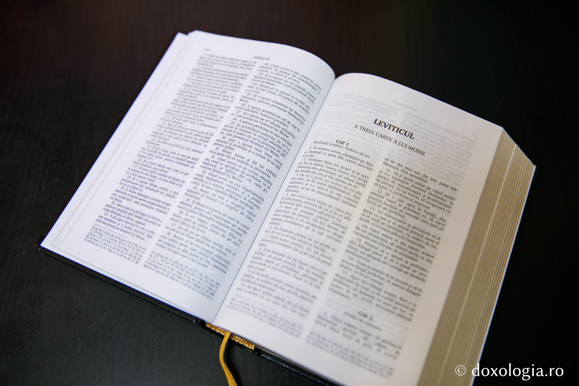 Leviticul (A treia Carte a lui Moise) – Capitolul 15