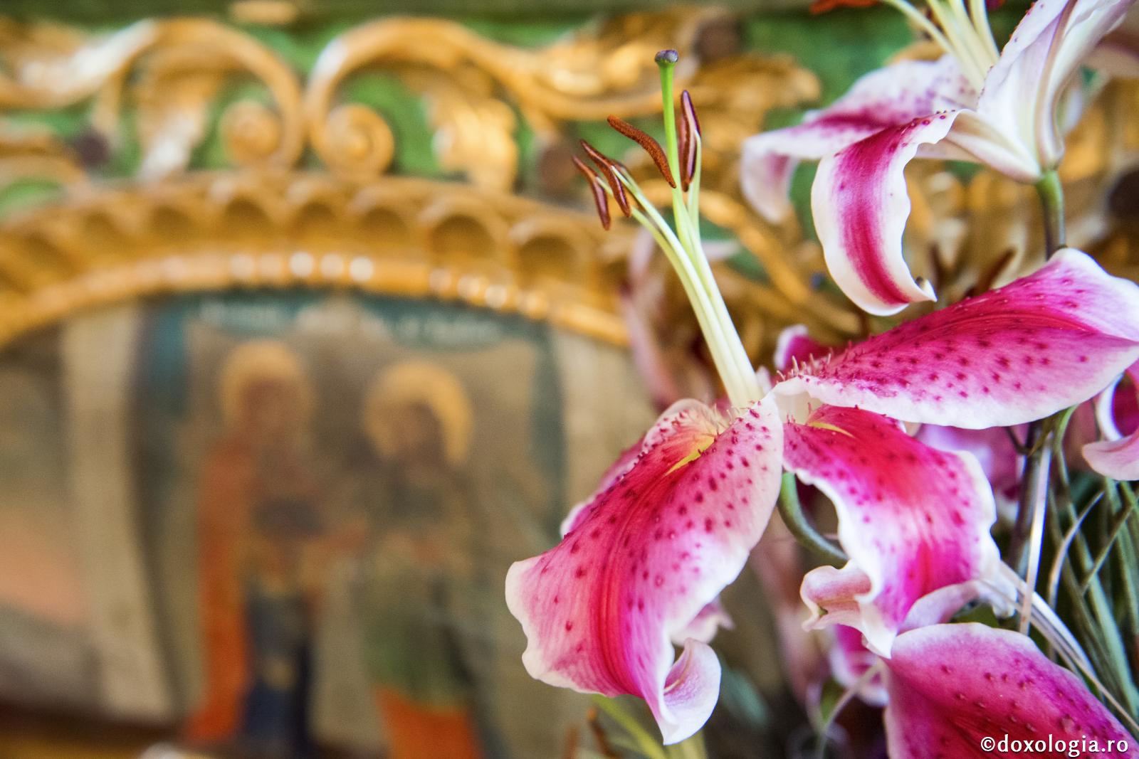 „O, Raiule, cât de frumos ești!”