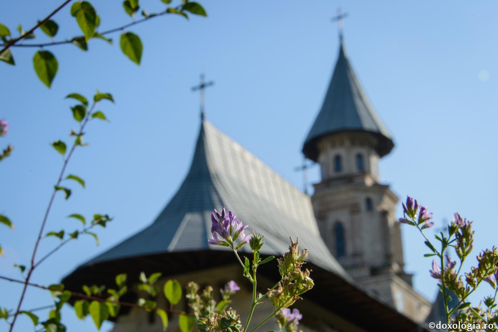 „O, Raiule, cât de frumos ești!”