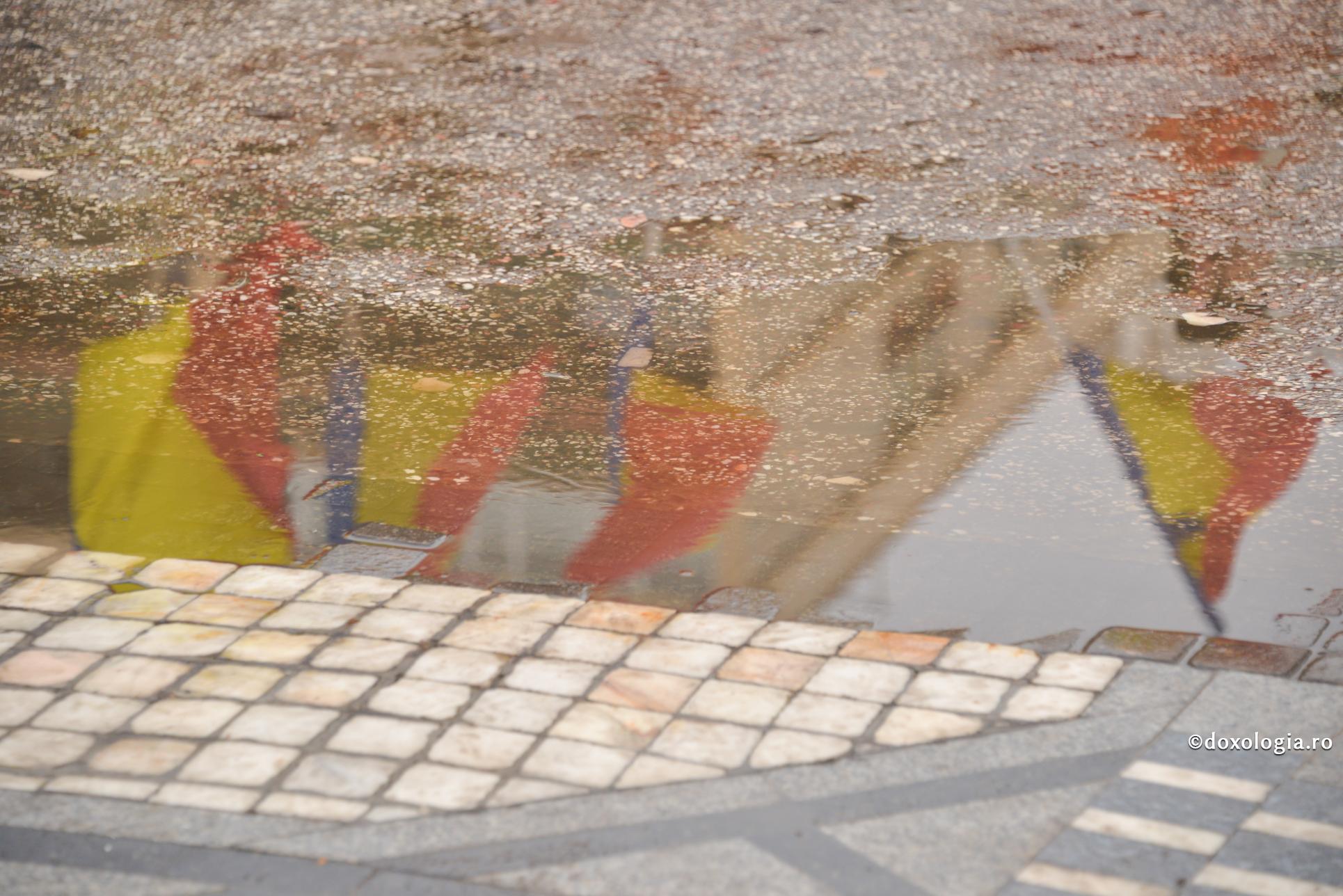 Comunitățile etnice – solidare cu idealul românilor