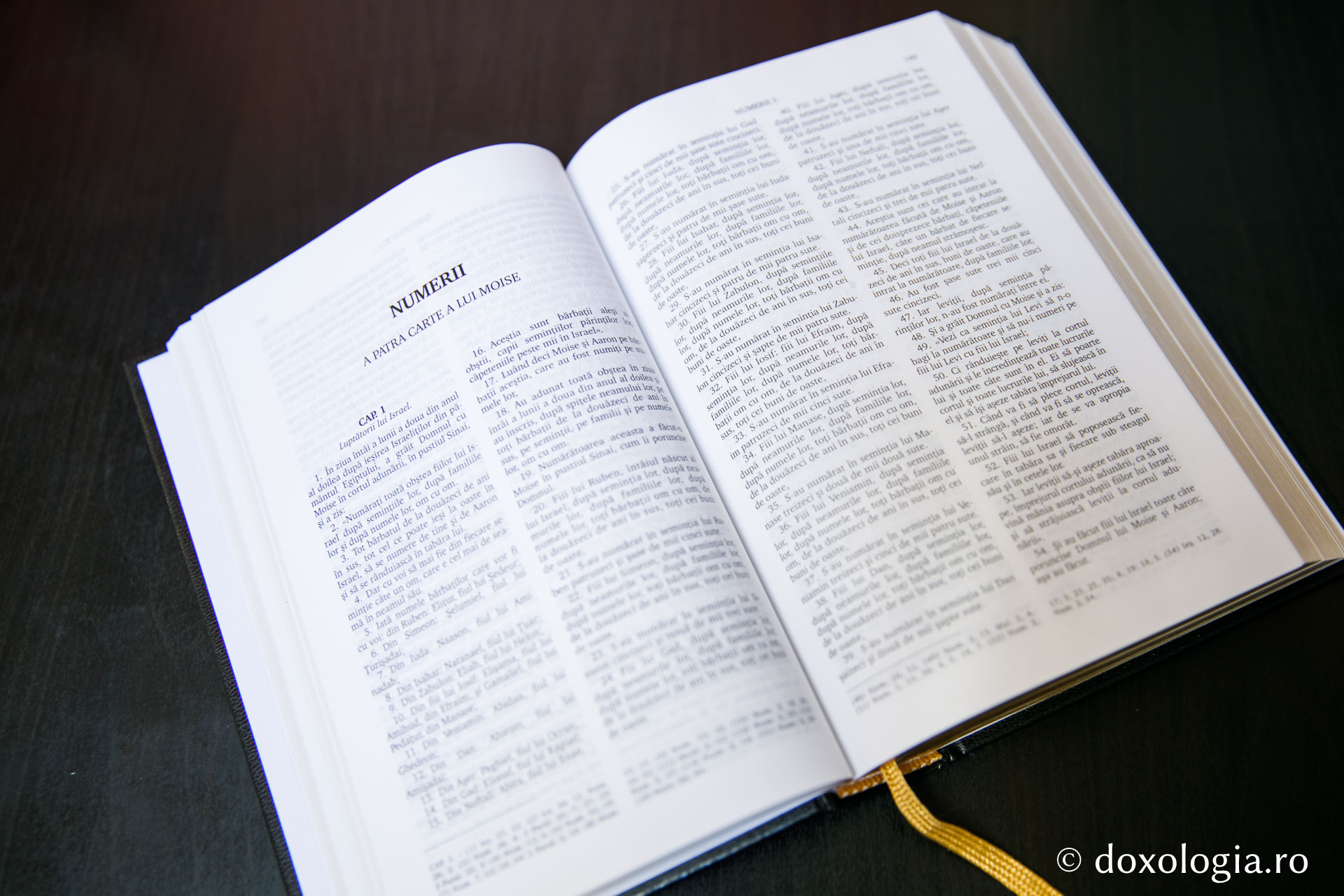 Numerii (A patra Carte a lui Moise) – Capitolul 27