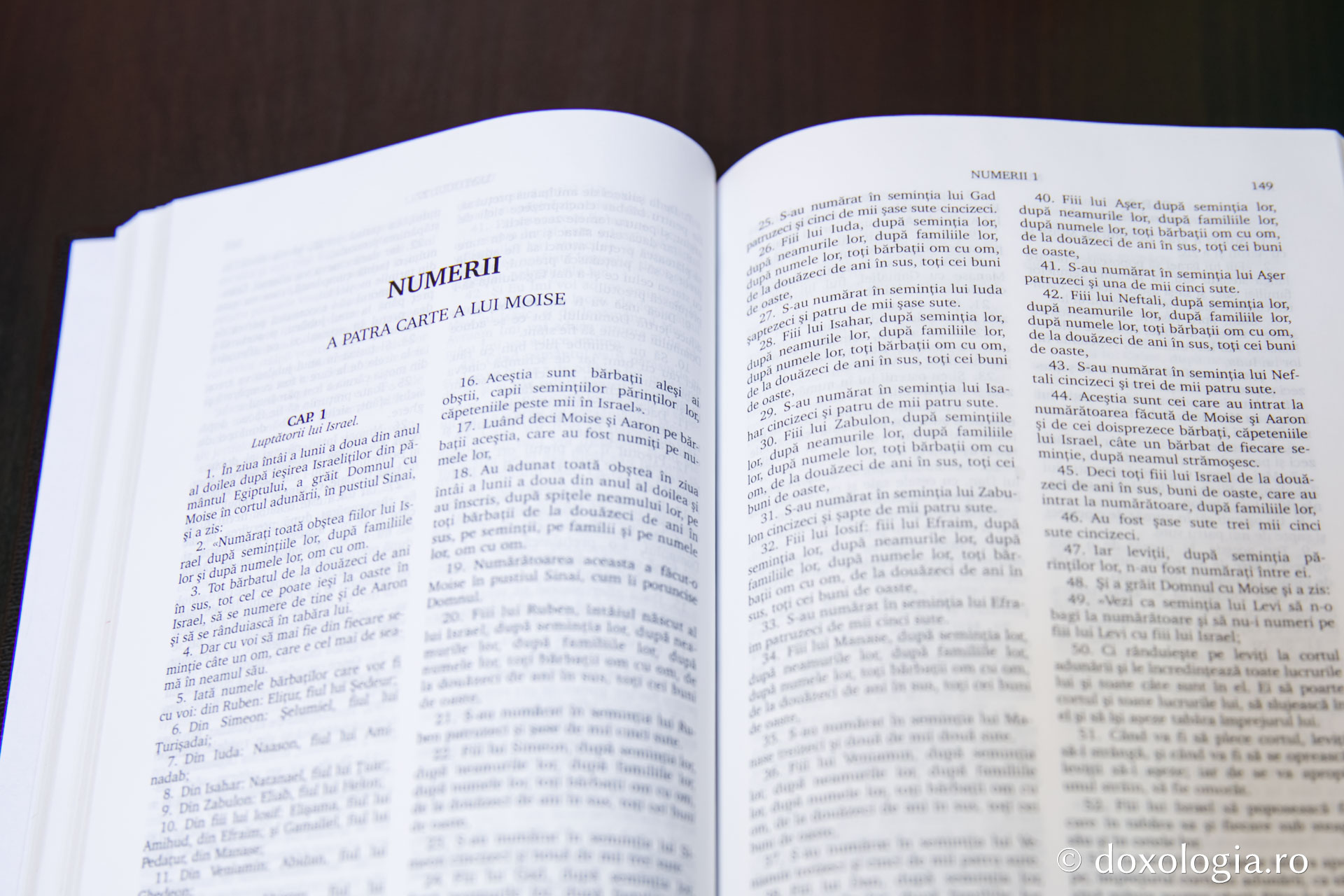 Numerii (A patra Carte a lui Moise) – Capitolul 14