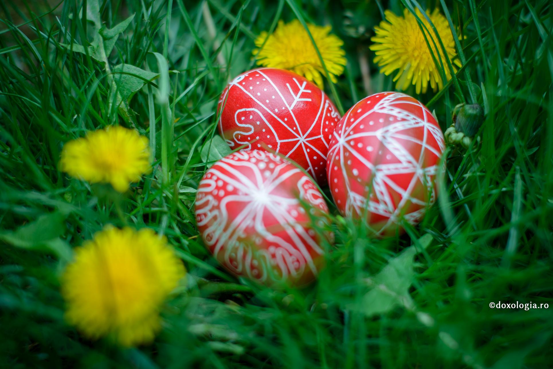 Foto: Oana Nechifor (Video) „Sărbătoarea Paștilor în satul românesc era pregătită cu mare grijă și nelipsită era pasca, după o rețetă foarte simplă”