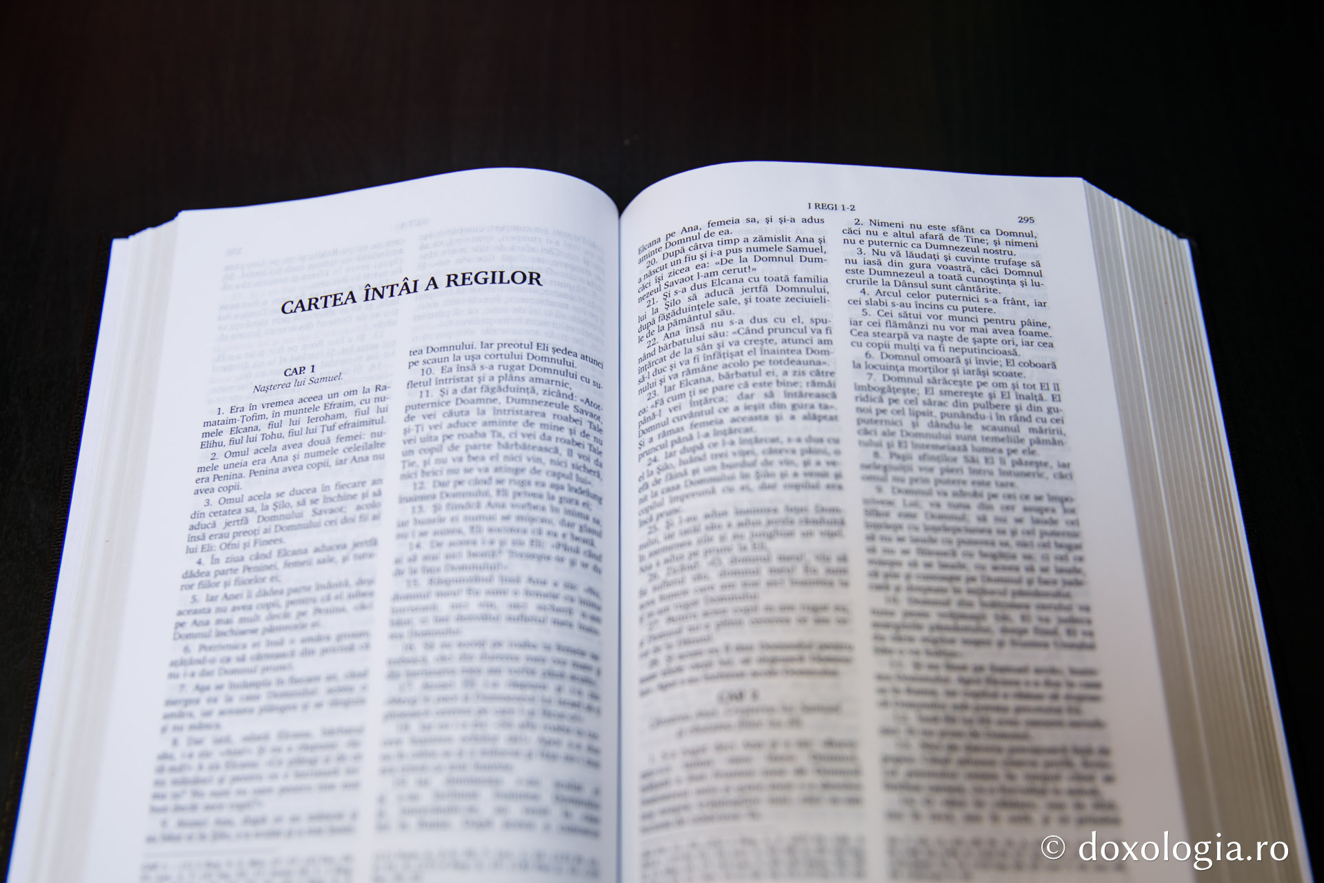 Cartea întâi a Regilor – Capitolul 25