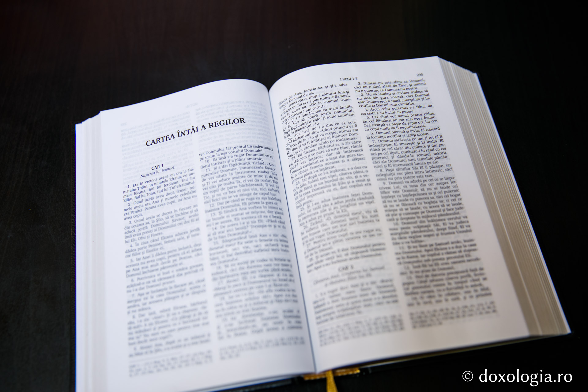 Cartea întâi a Regilor – Capitolul 29