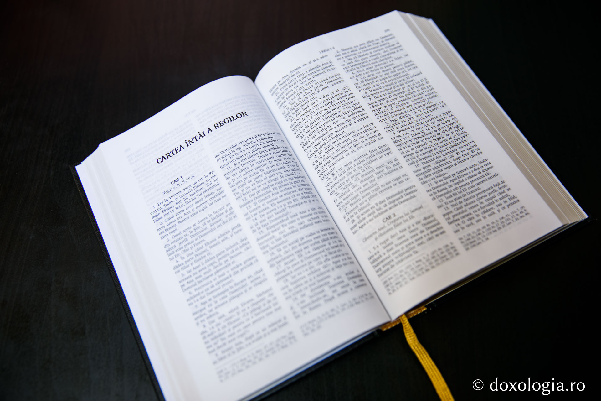 Cartea întâi a Regilor – Capitolul 12