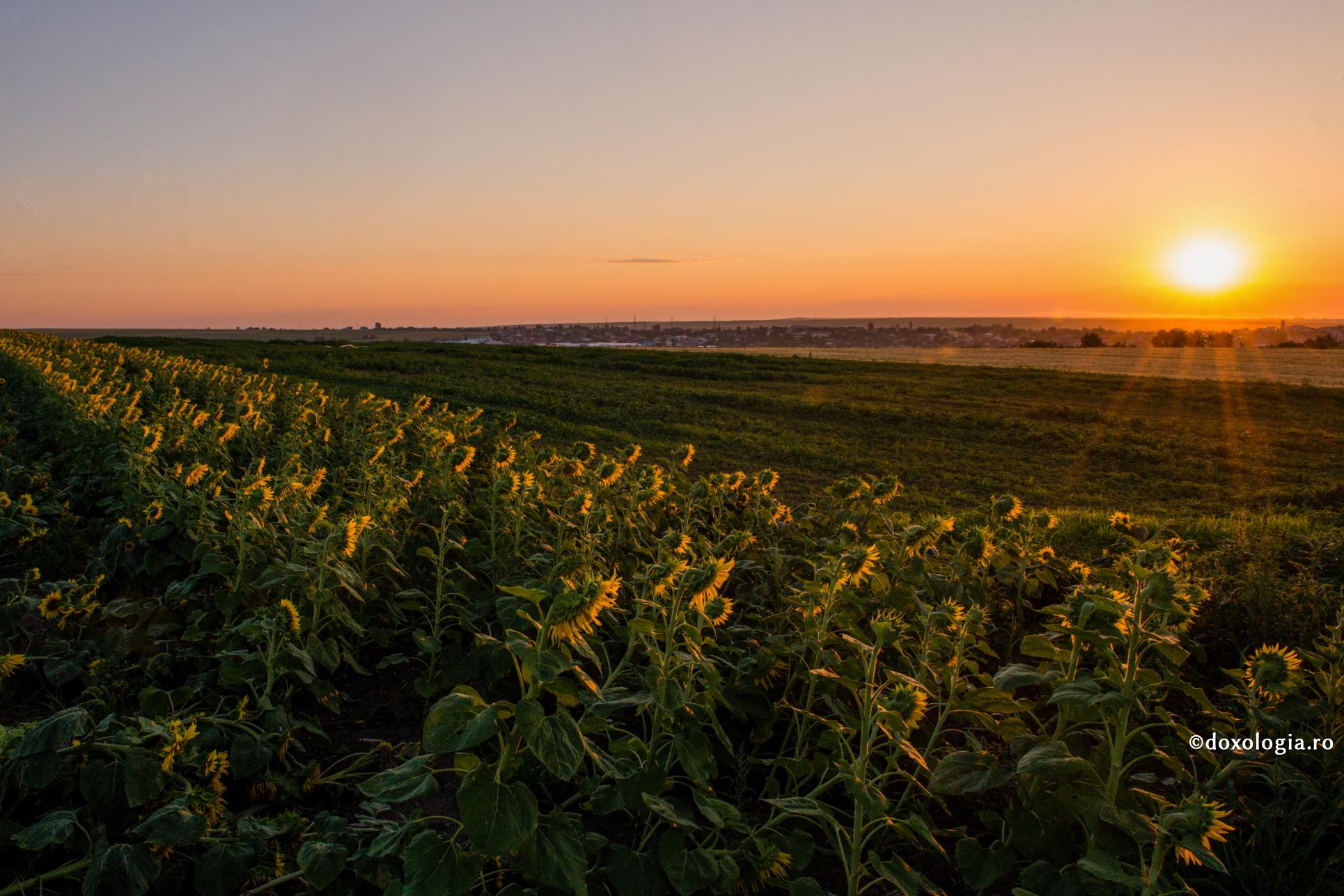 Ai grijă cum îți petreci seara, ca să nu risipești toată străduința zilei