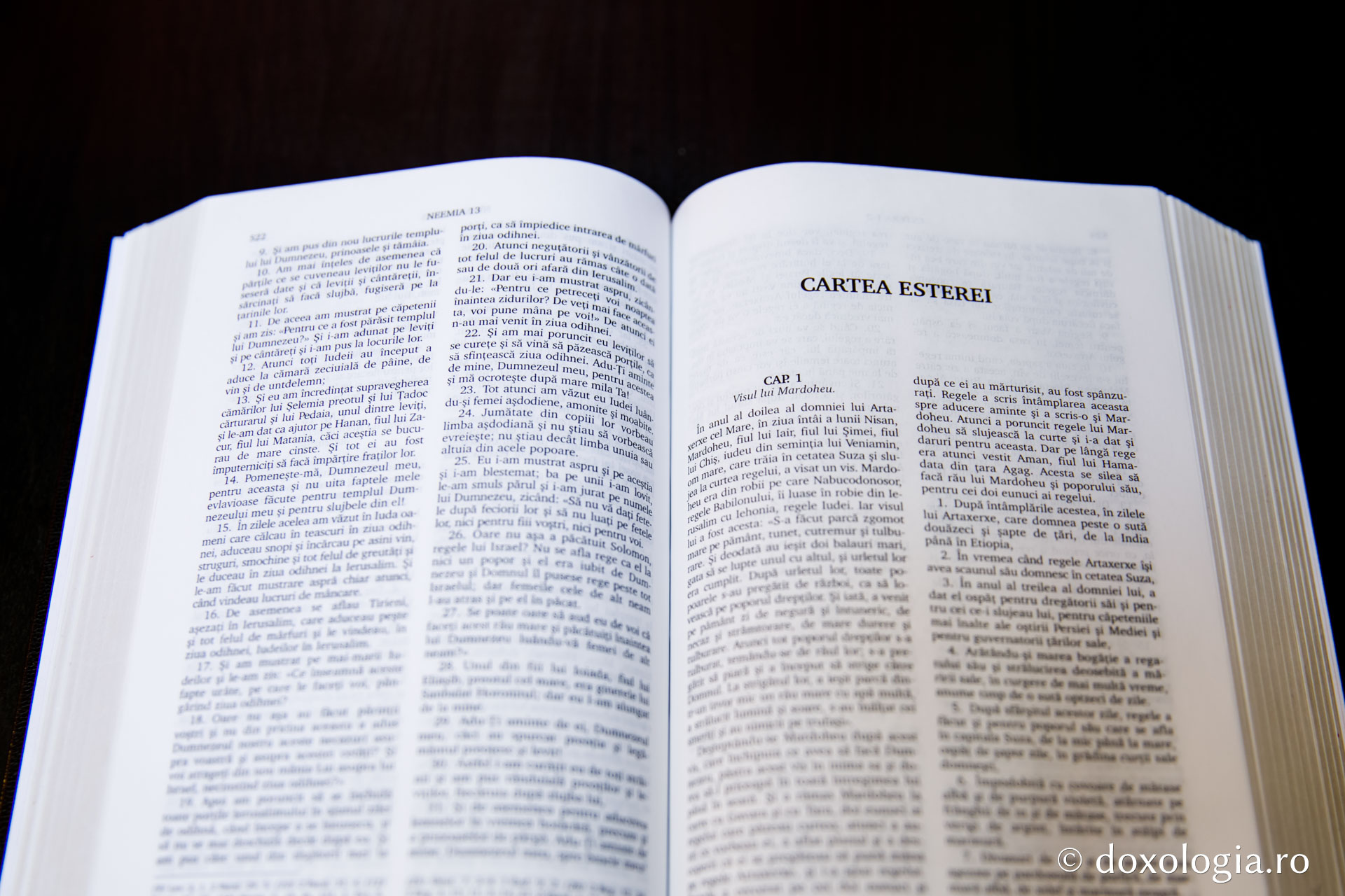 Cartea Esterei – Capitolul 10