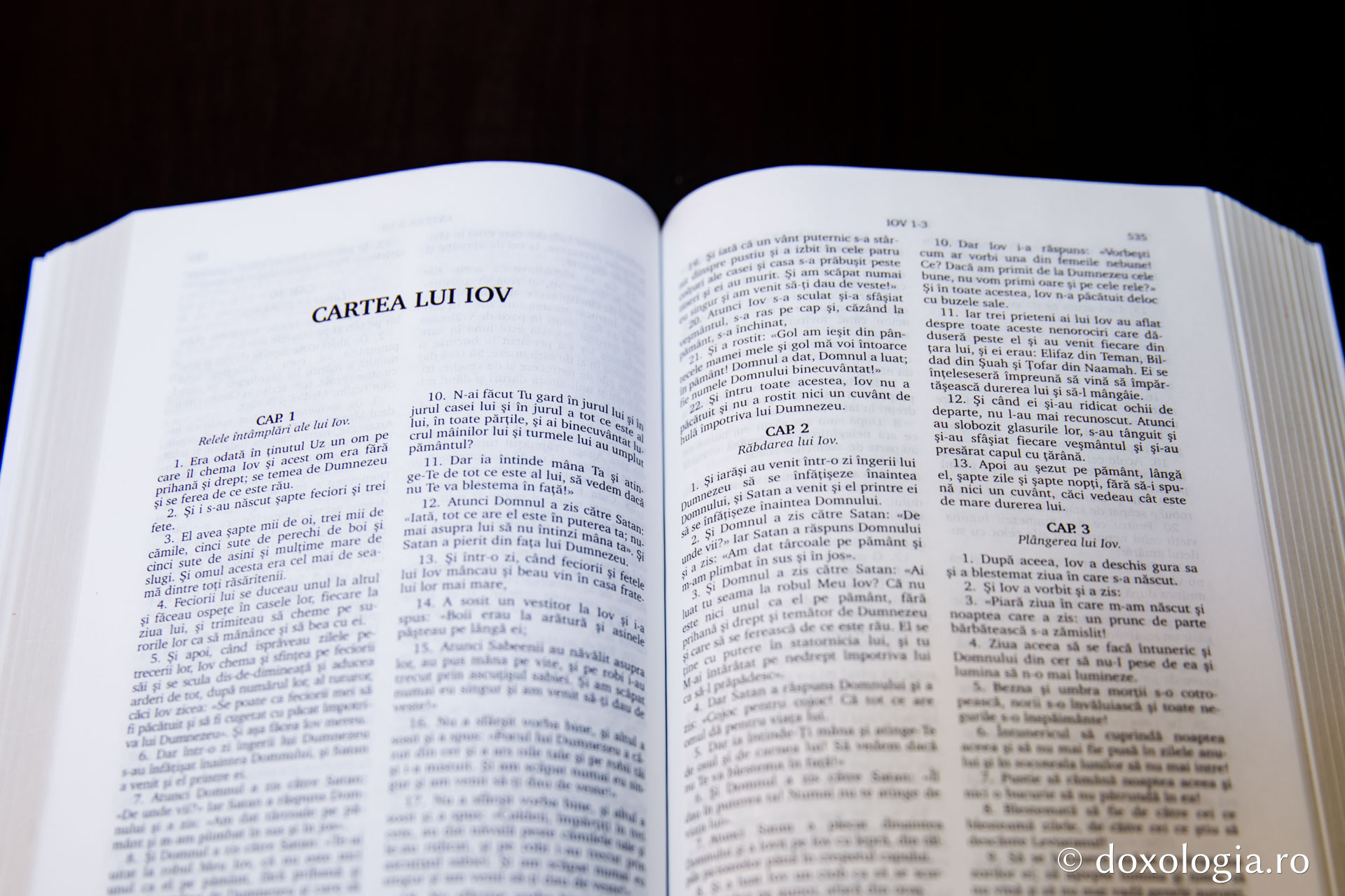 Cartea lui Iov – Capitolul 22