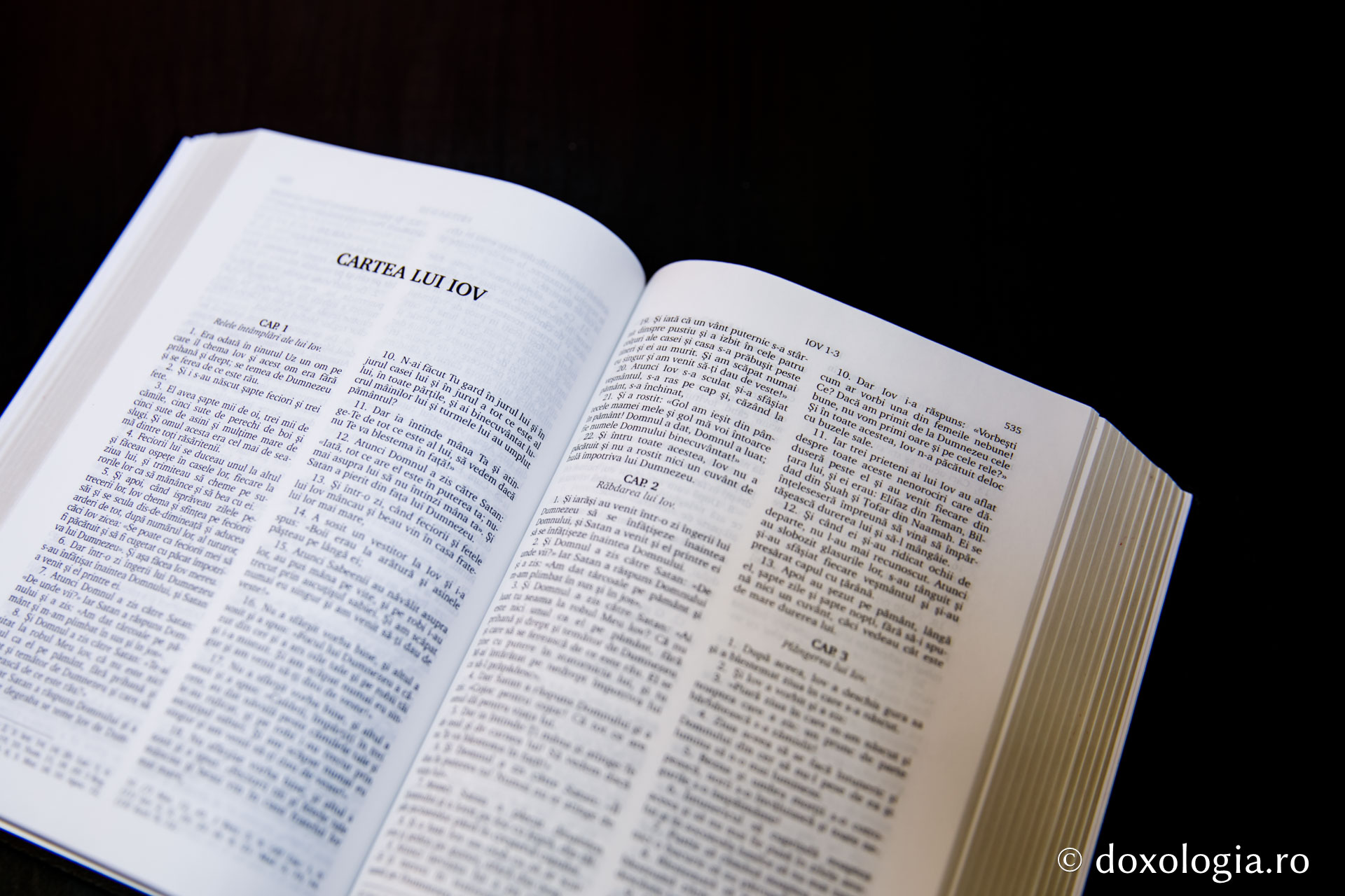 Cartea lui Iov – Capitolul 26