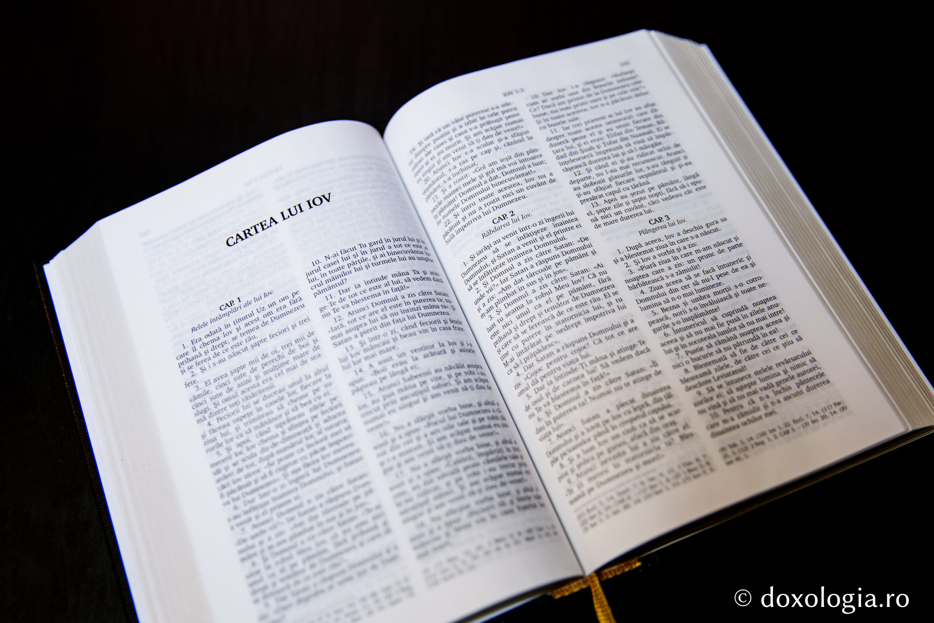 Cartea lui Iov – Capitolul 39