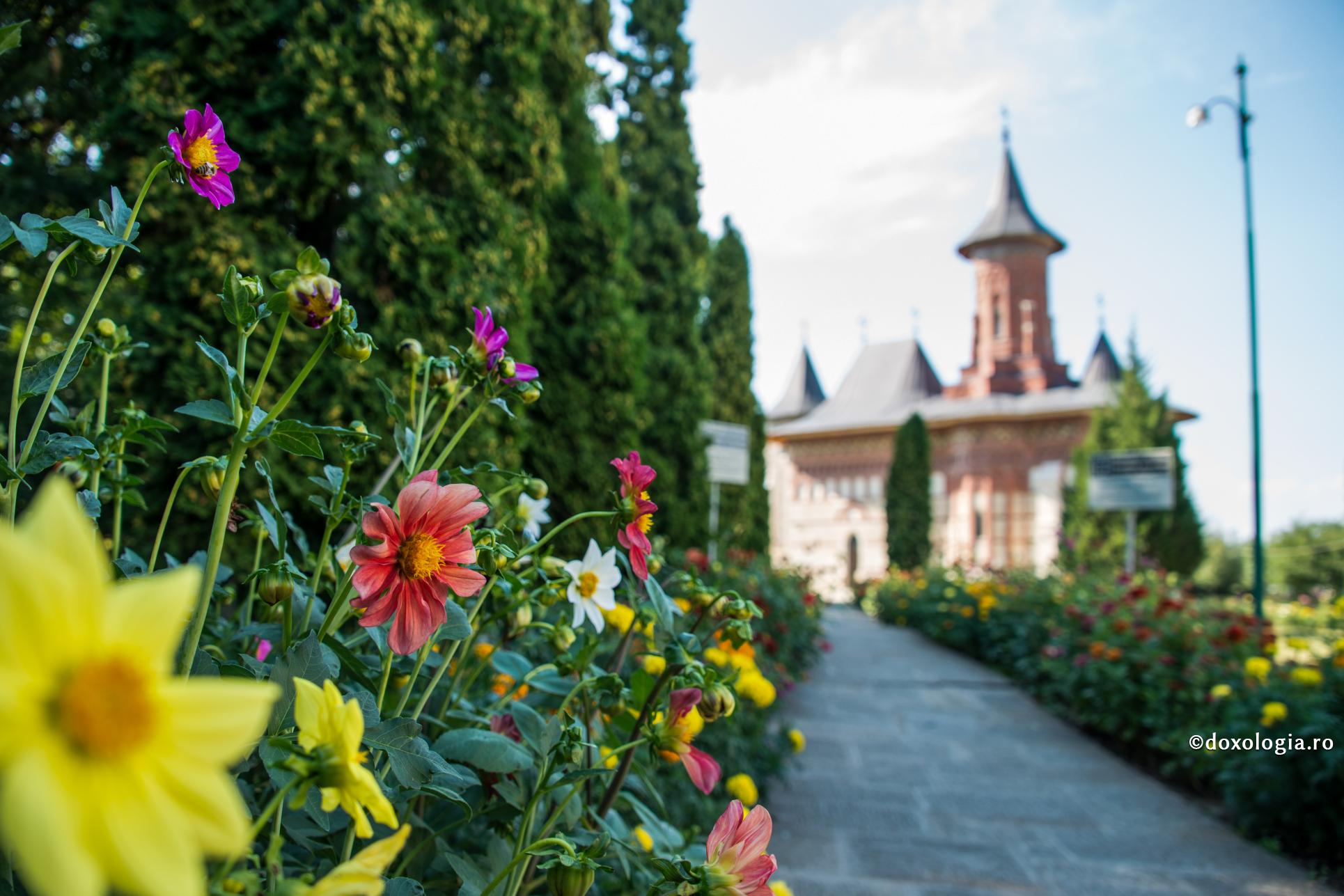 Ce este smerita cugetare?