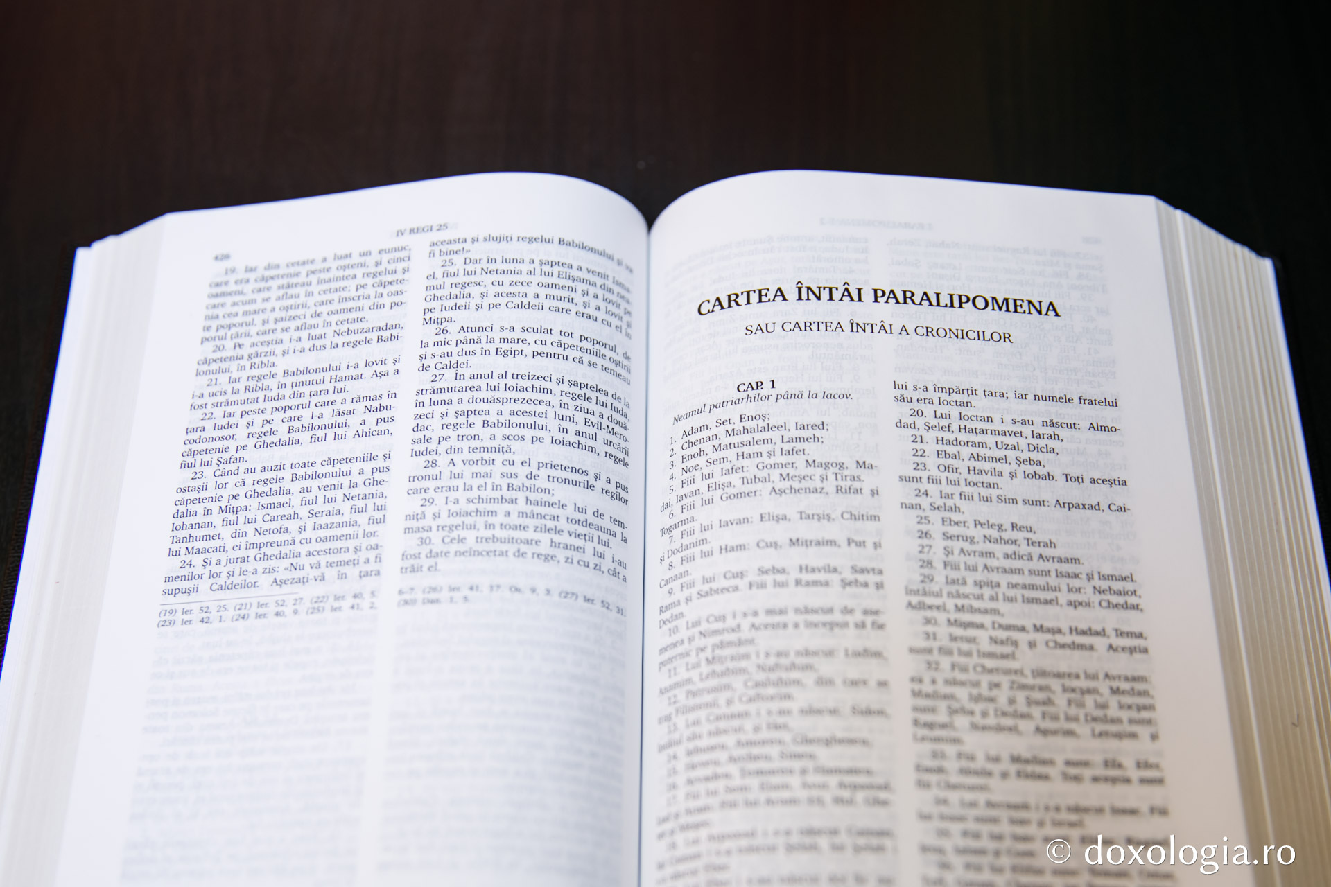 Cartea întâi Paralipomena (Cartea întâi a Cronicilor) – Capitolul 22