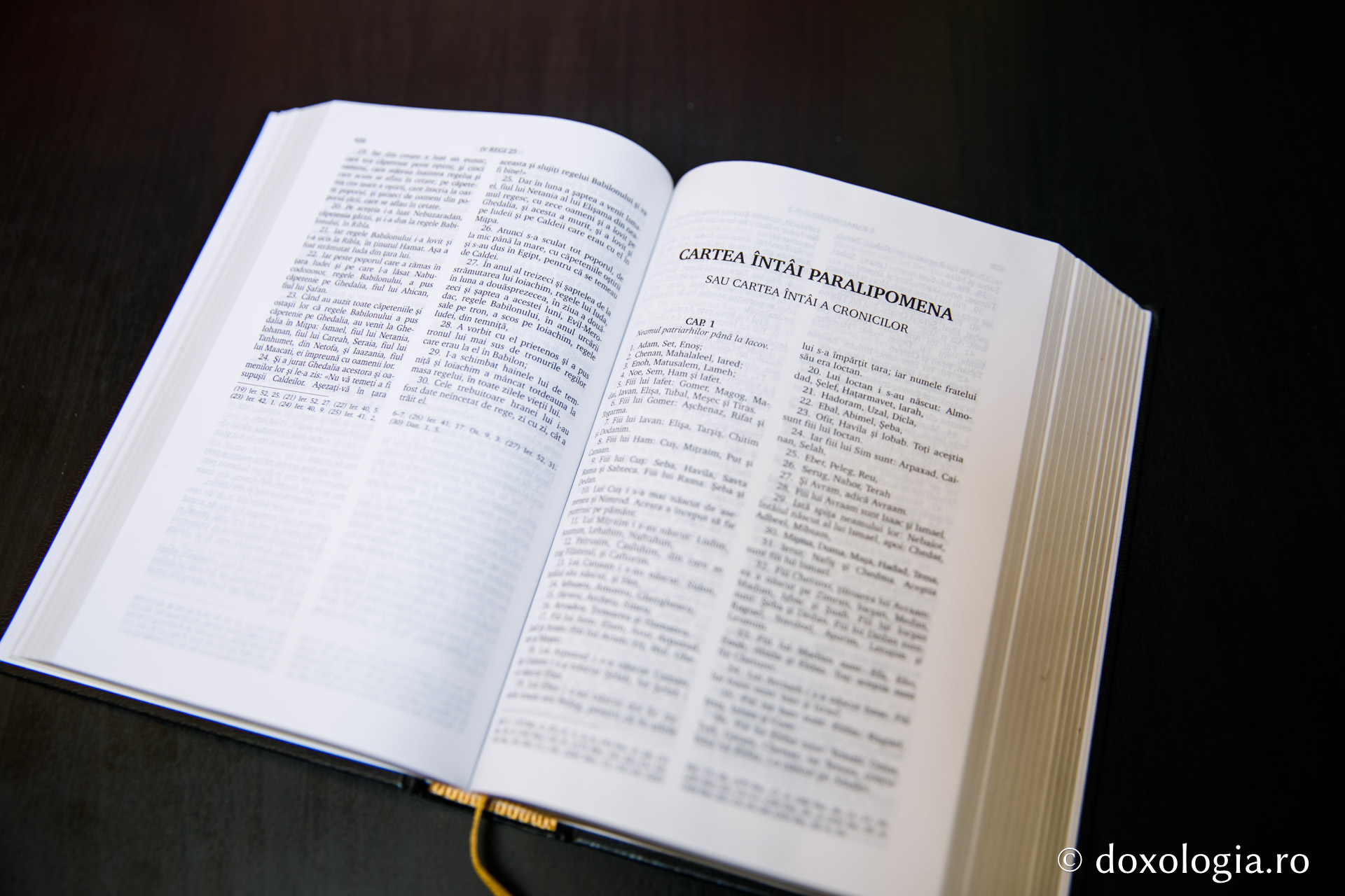 Cartea întâi Paralipomena (Cartea întâi a Cronicilor) – Capitolul 9