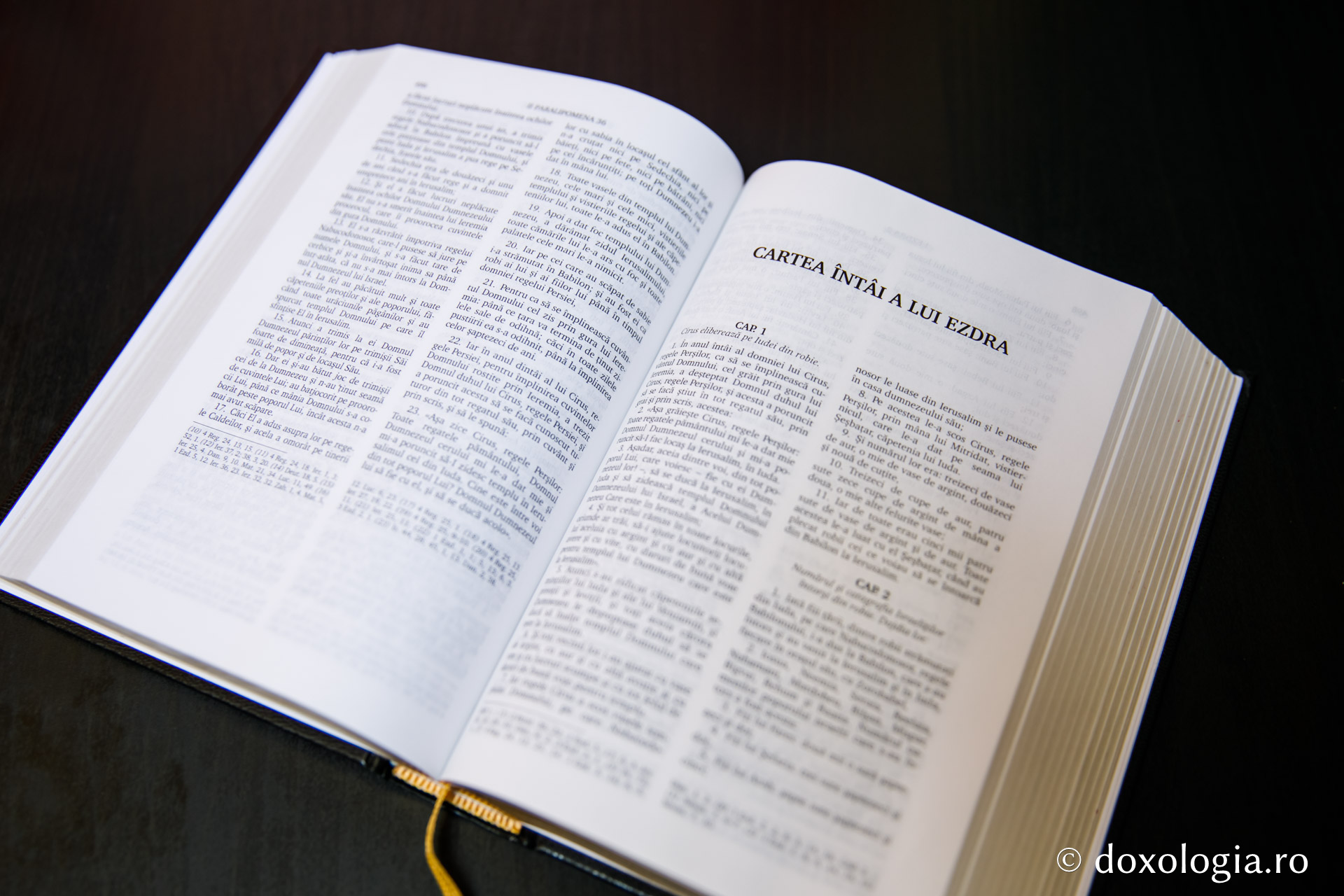 Cartea întâi a lui Ezdra – Capitolul 4