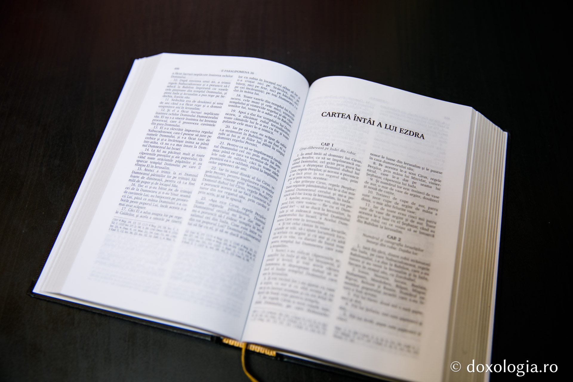 Cartea întâi a lui Ezdra – Capitolul 5