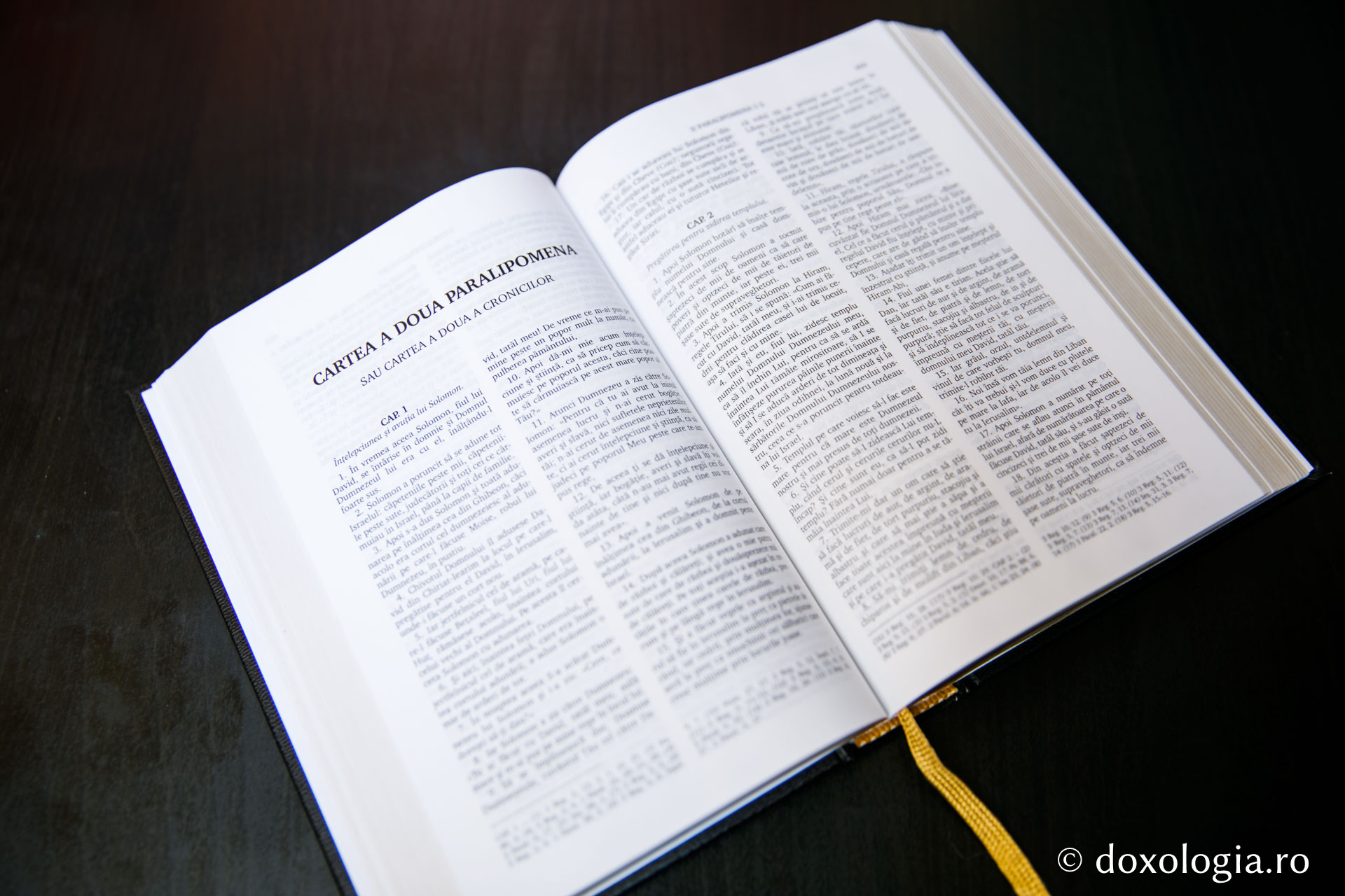 Cartea a doua Paralipomena (Cartea a doua a Cronicilor) – Capitolul 35