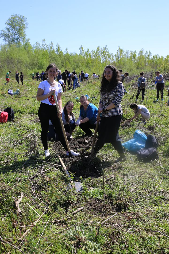 Voluntarii ATOR, ASCOR și Pro Vita Iași – Acțiune de împădurire în Prisăcani Voluntarii ATOR, ASCOR și Pro Vita Iași – Acțiune de împădurire în Prisăcani