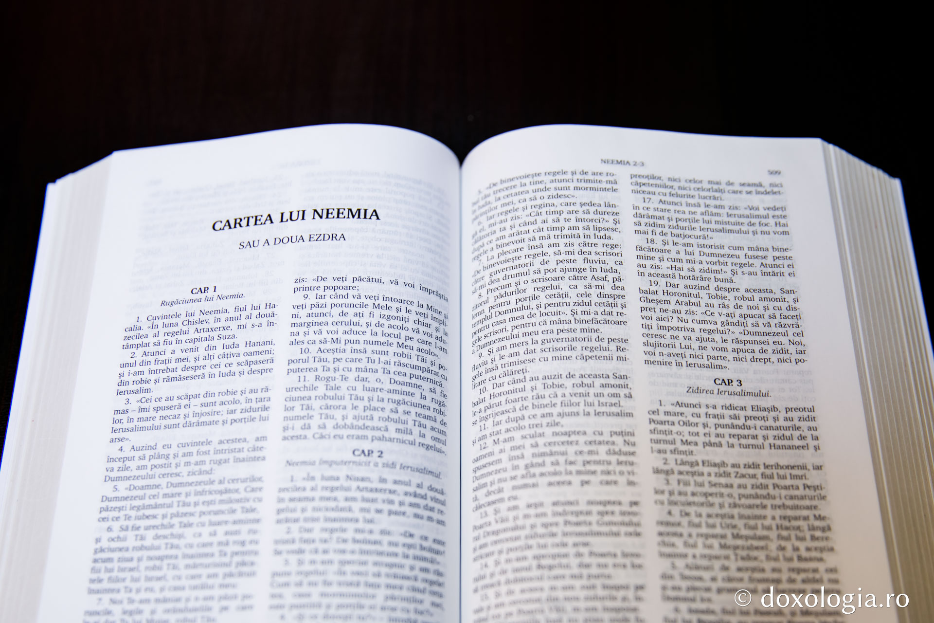 Cartea lui Neemia (a doua Ezdra) – Capitolul 4