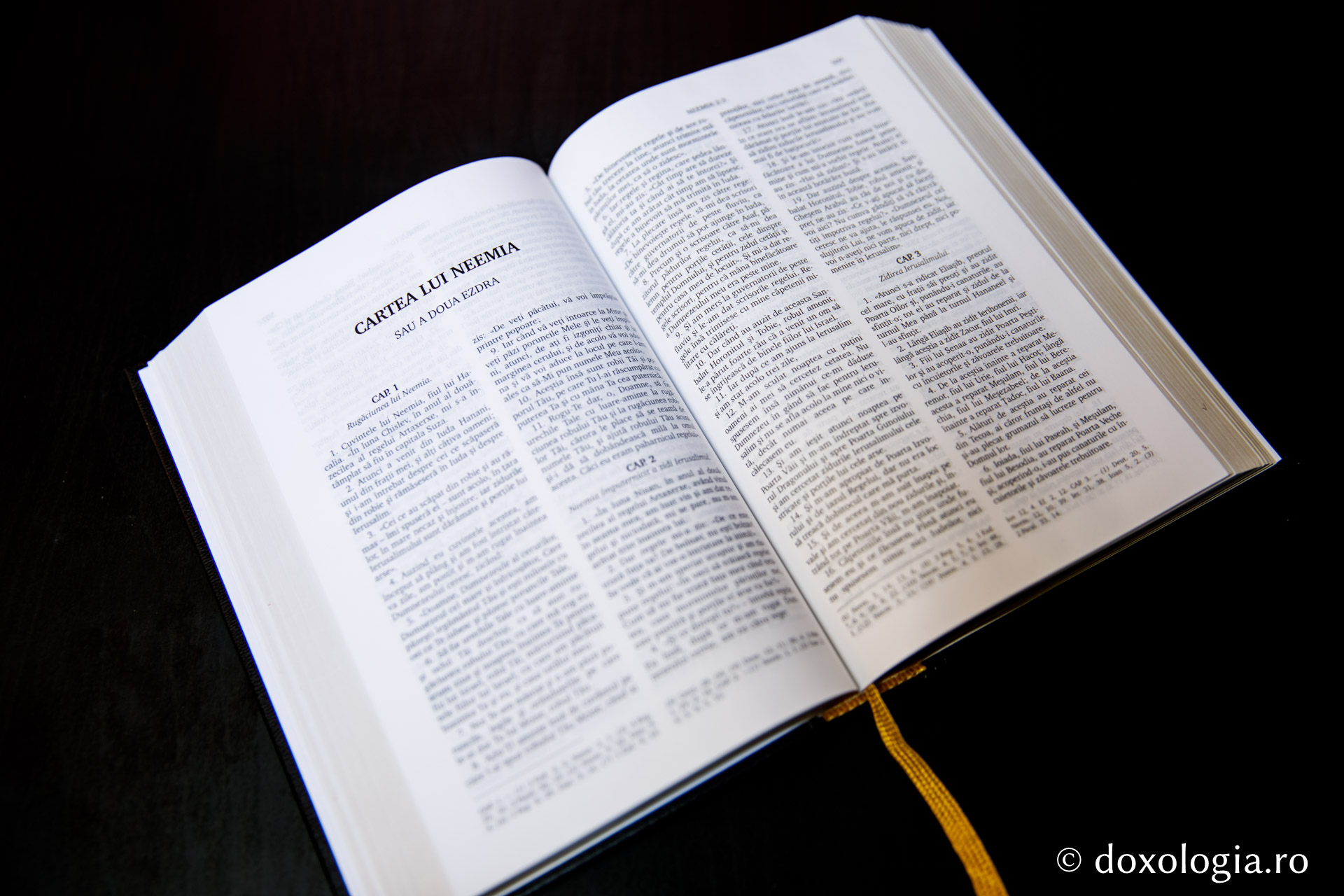 Cartea lui Neemia (a doua Ezdra) – Capitolul 2