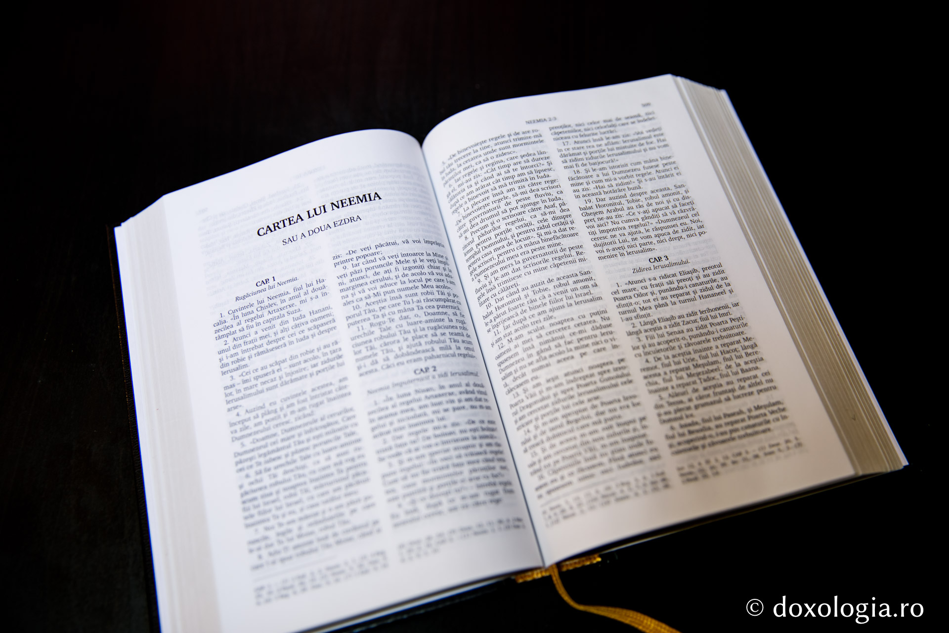 Cartea lui Neemia (a doua Ezdra) – Capitolul 3