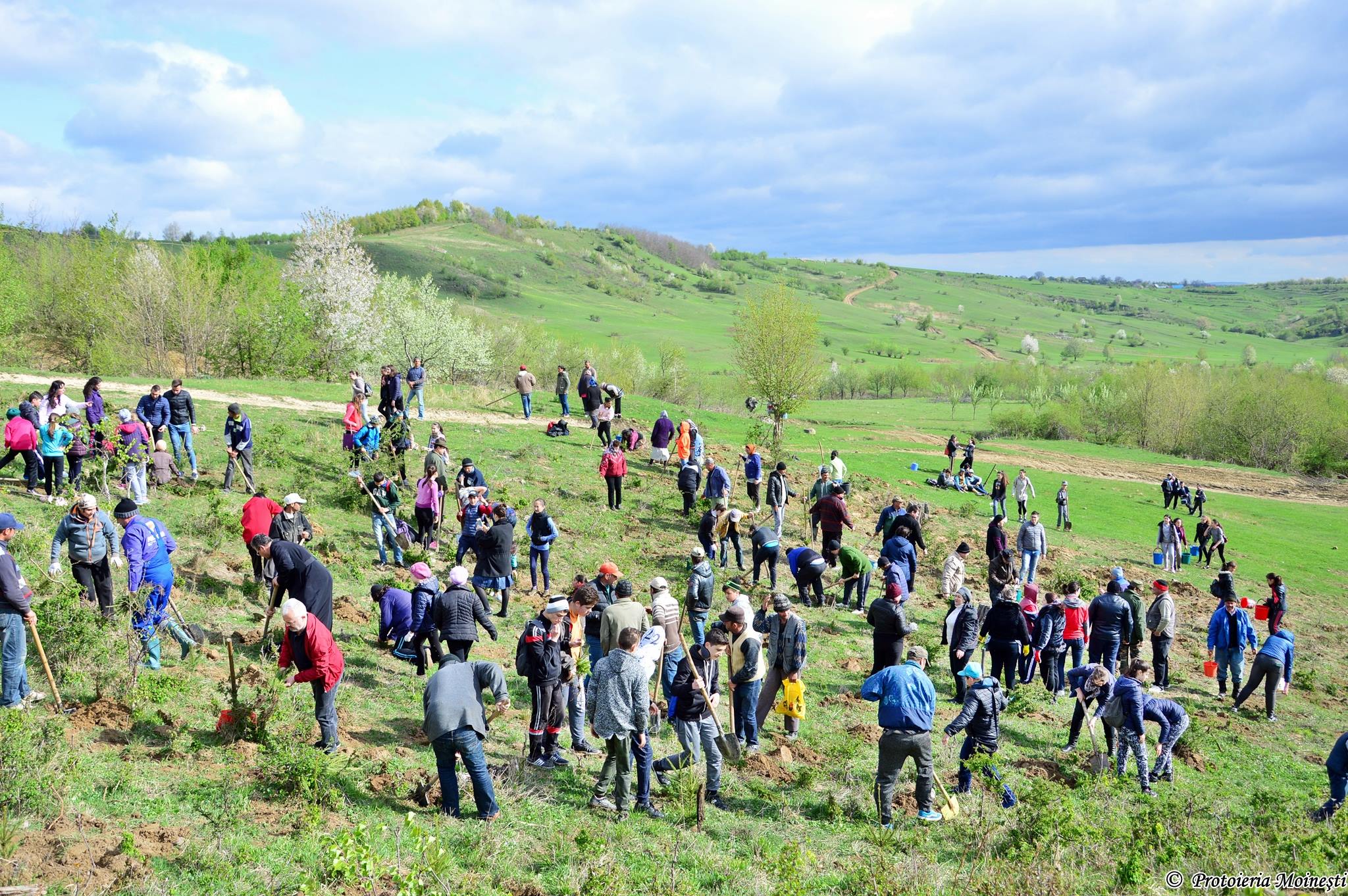 Proiectul eparhial „Preţuieşte viaţa, preţuieşte natura“
