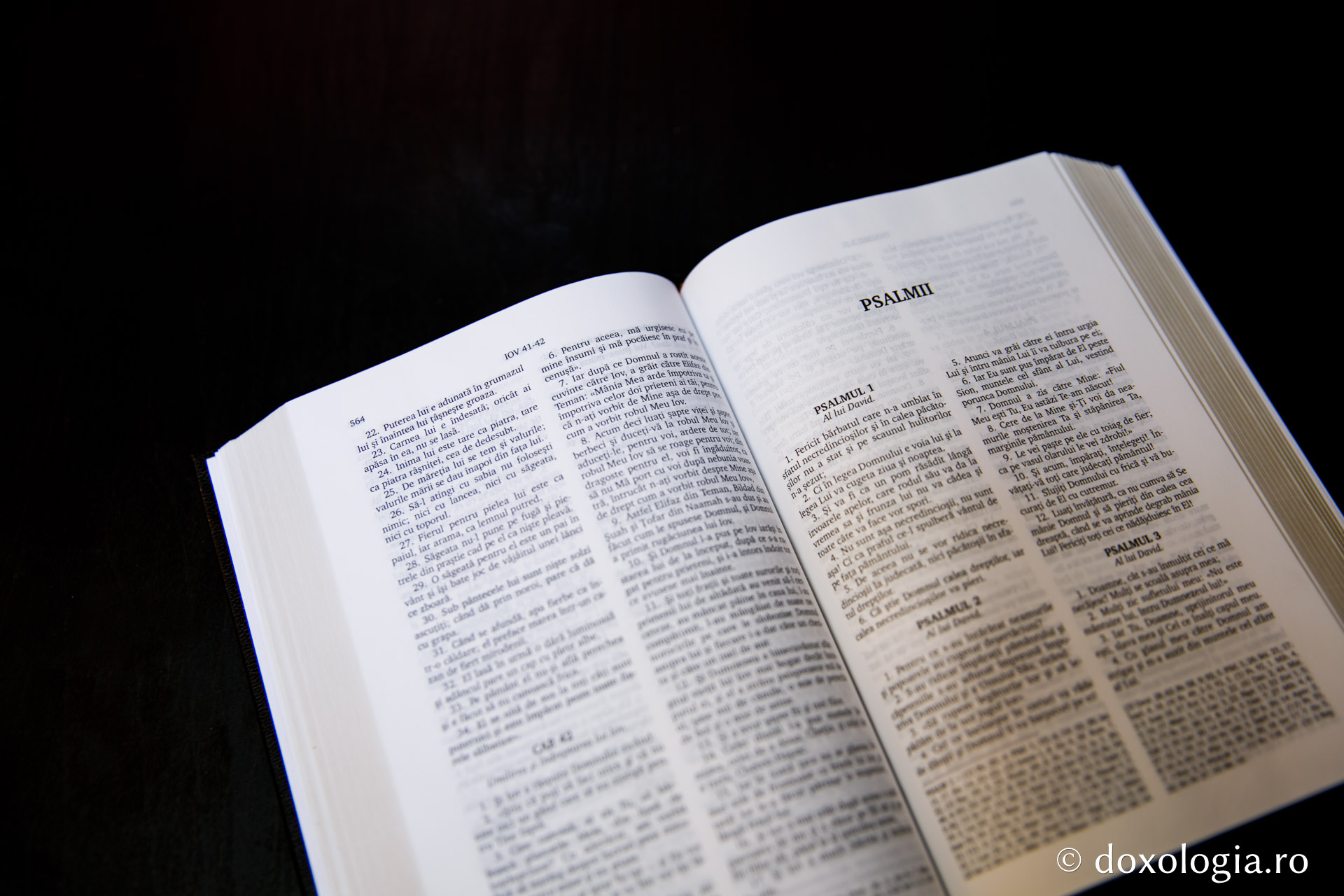 Psalmii – Psalmul 48