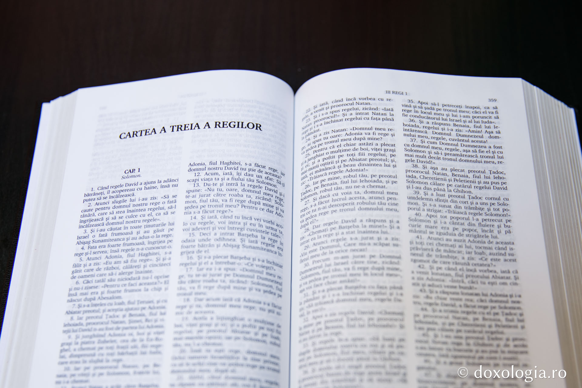 Cartea a treia a Regilor – Capitolul 13