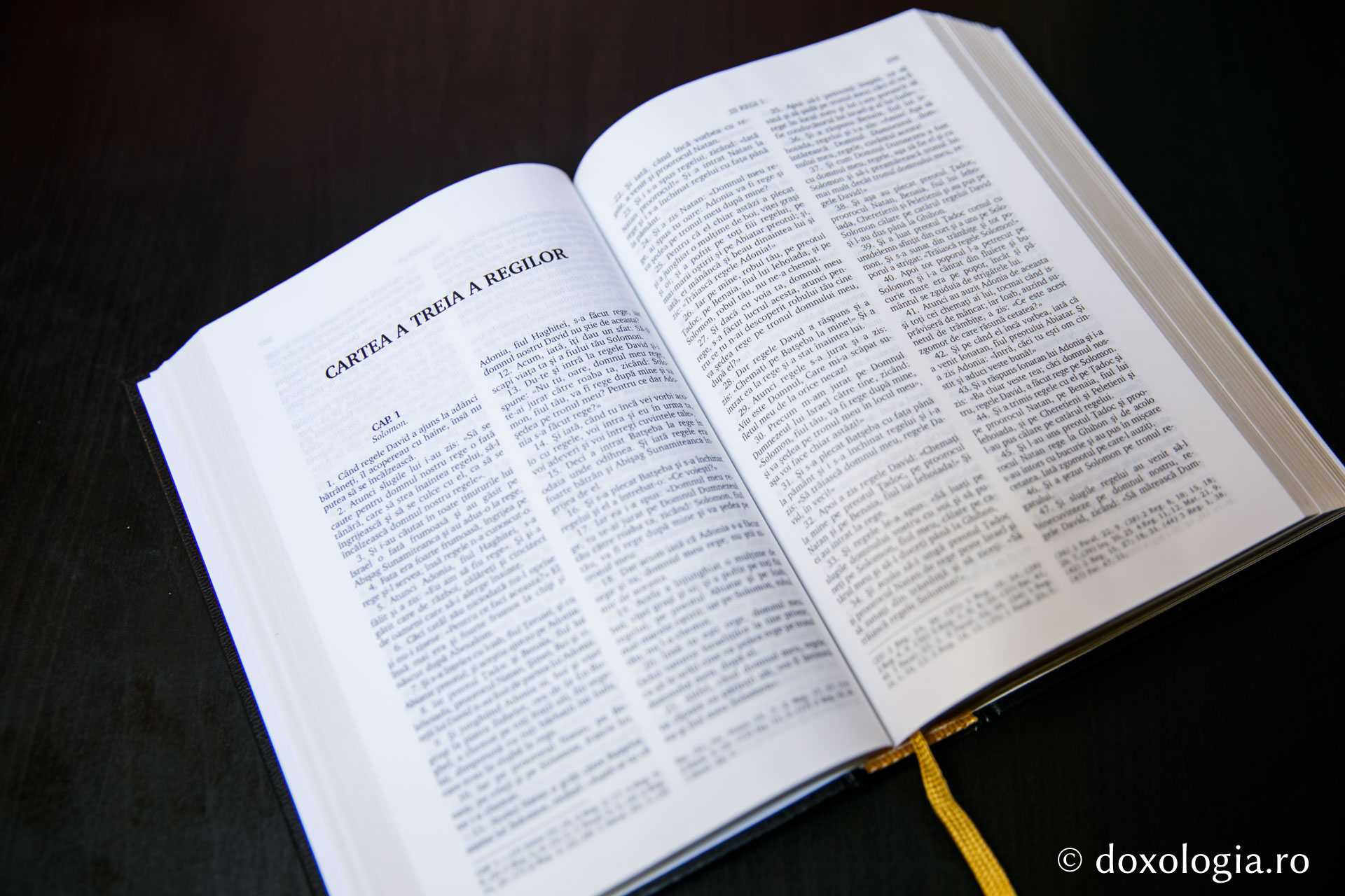 Cartea a treia a Regilor – Capitolul 17