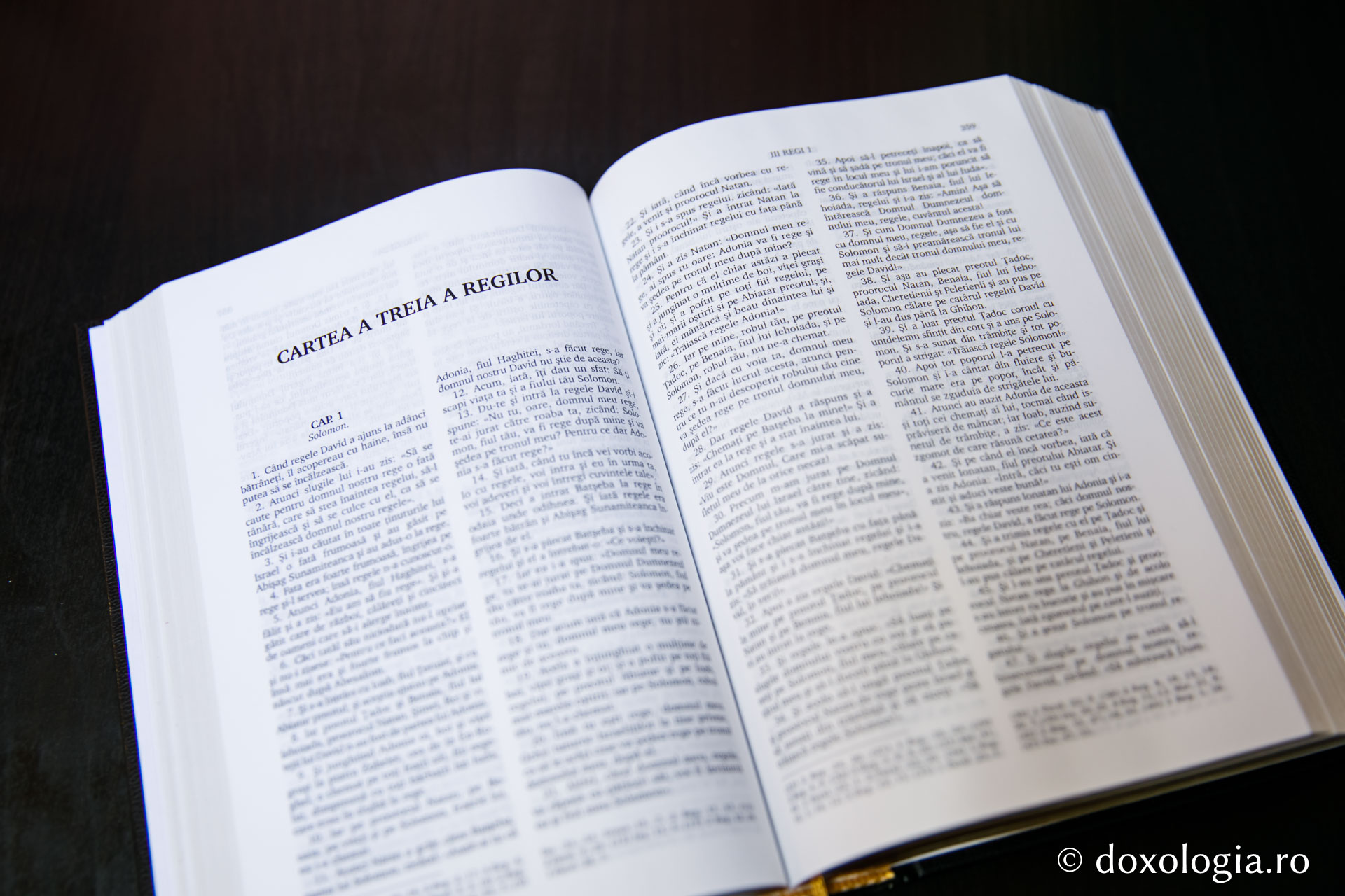 Cartea a treia a Regilor – Capitolul 15