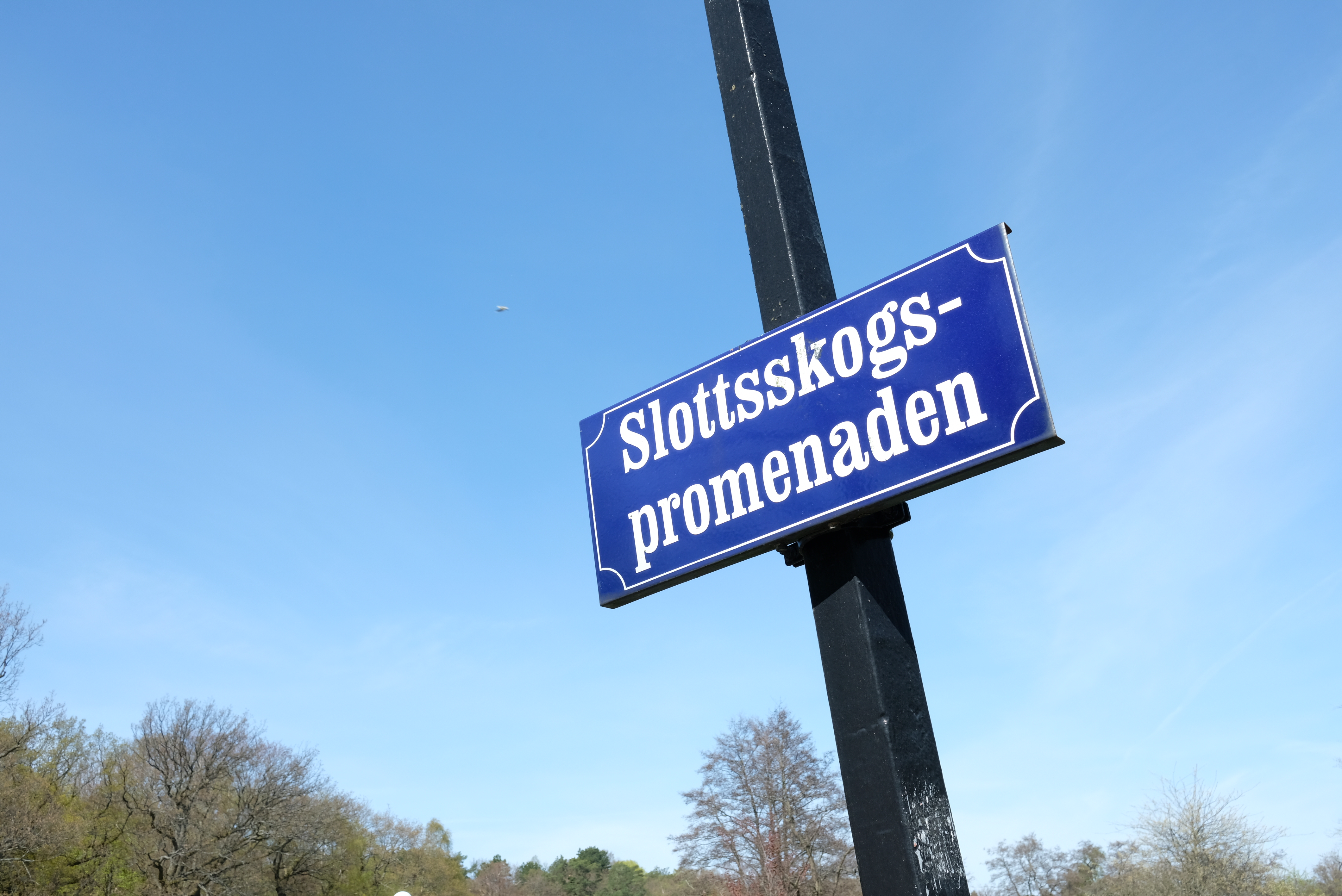 Marșul bicicletelor „Pedalând pentru viață” a avut loc în Göteborg (Suedia)