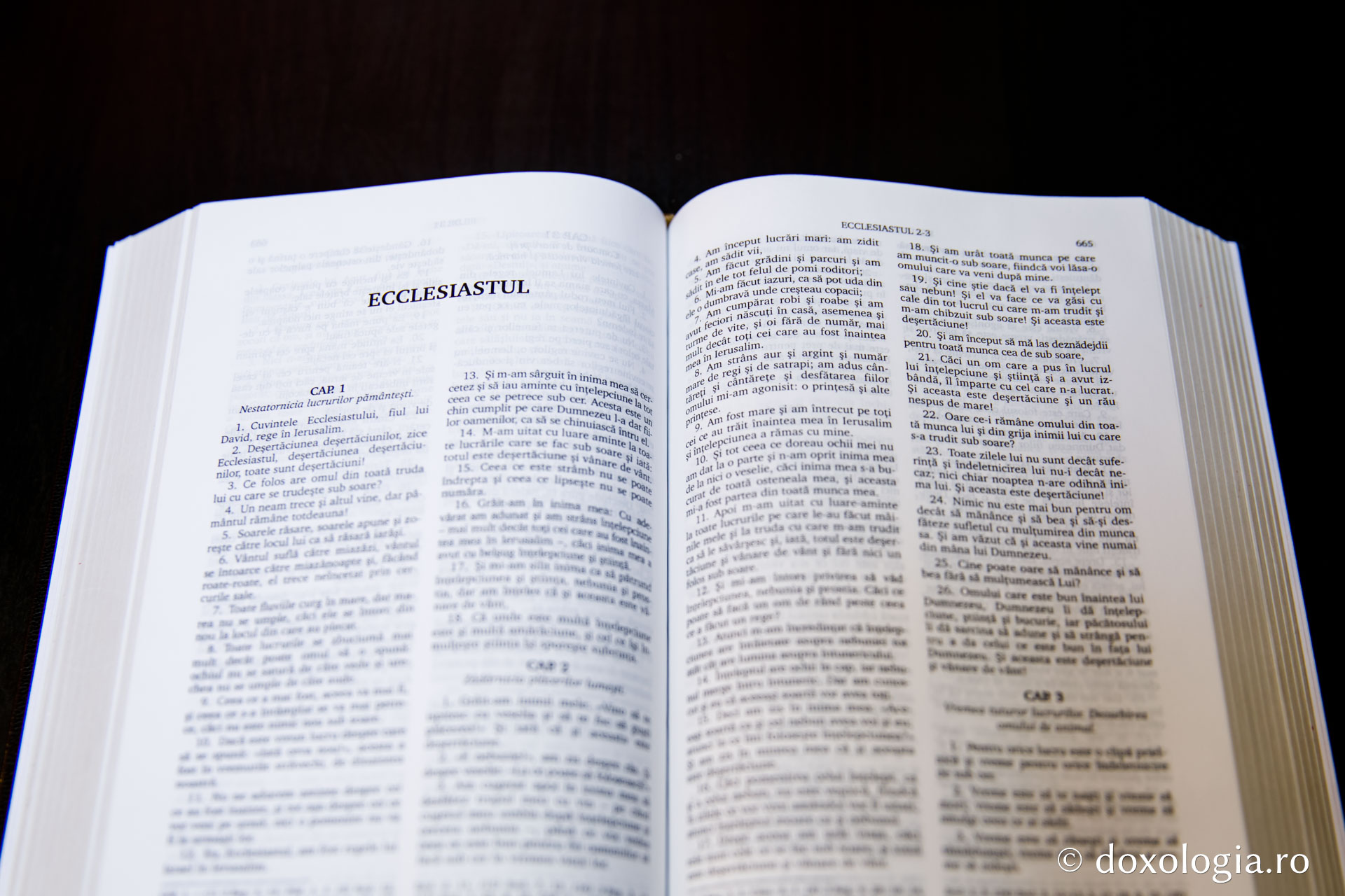 Ecclesiastul – Capitolul 10