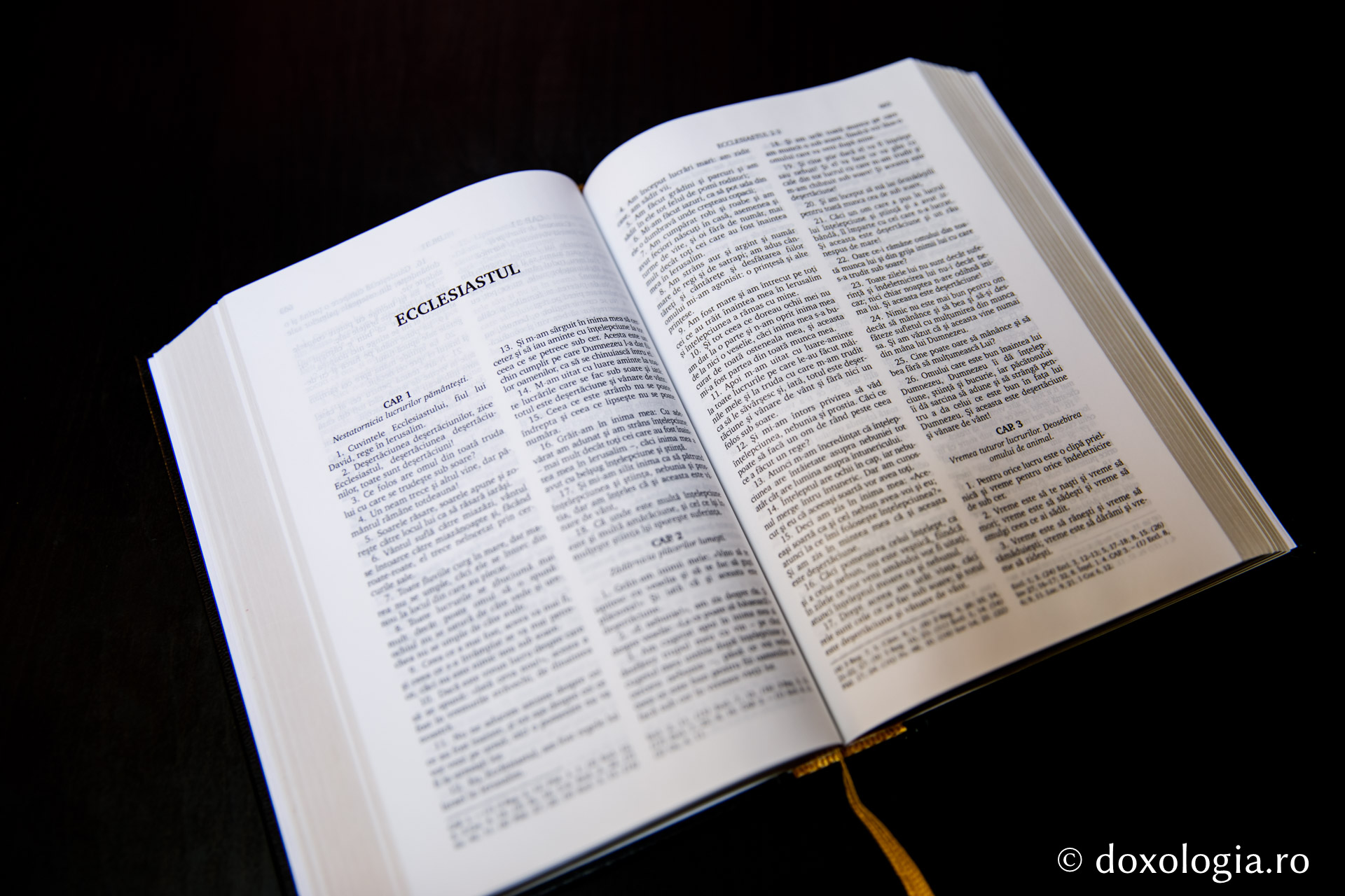 Ecclesiastul – Capitolul 8